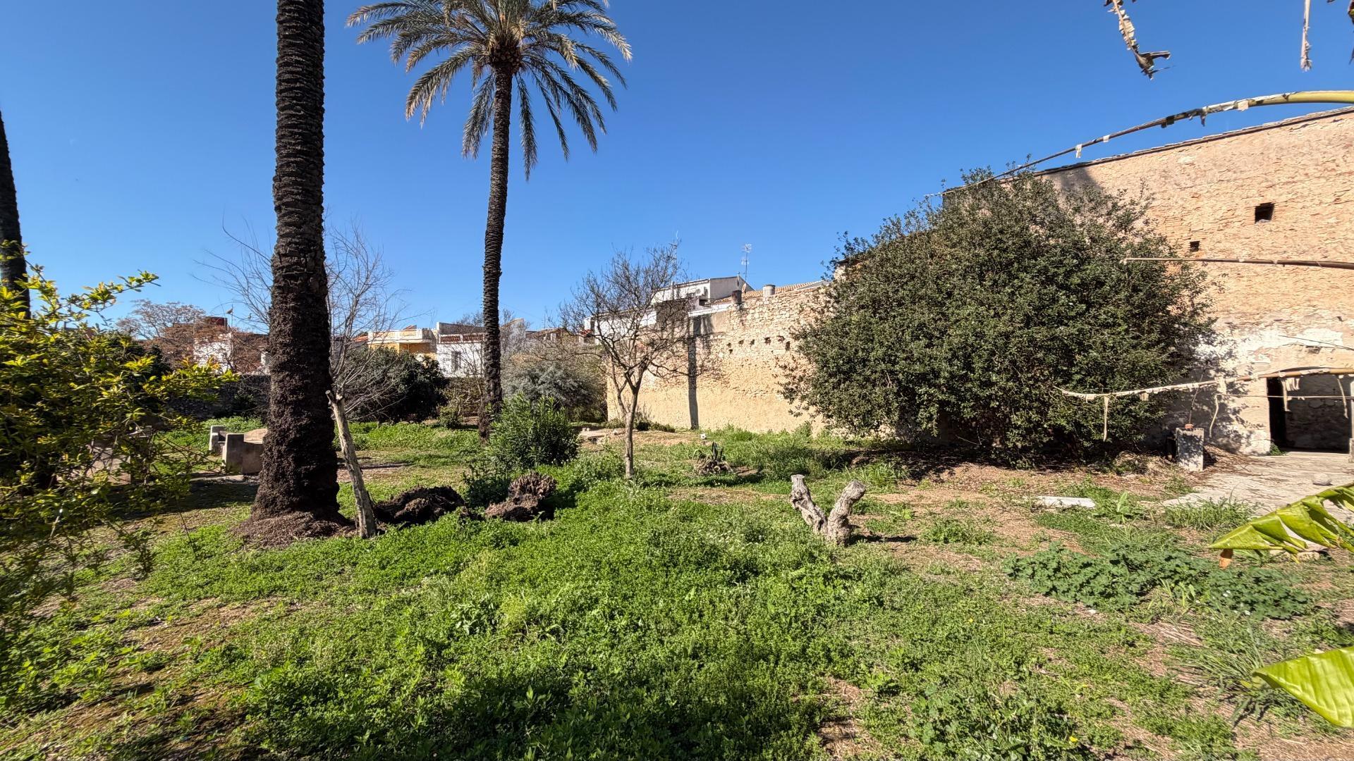 Fincas y solares-Venta-Alberic-2202575-Foto-3