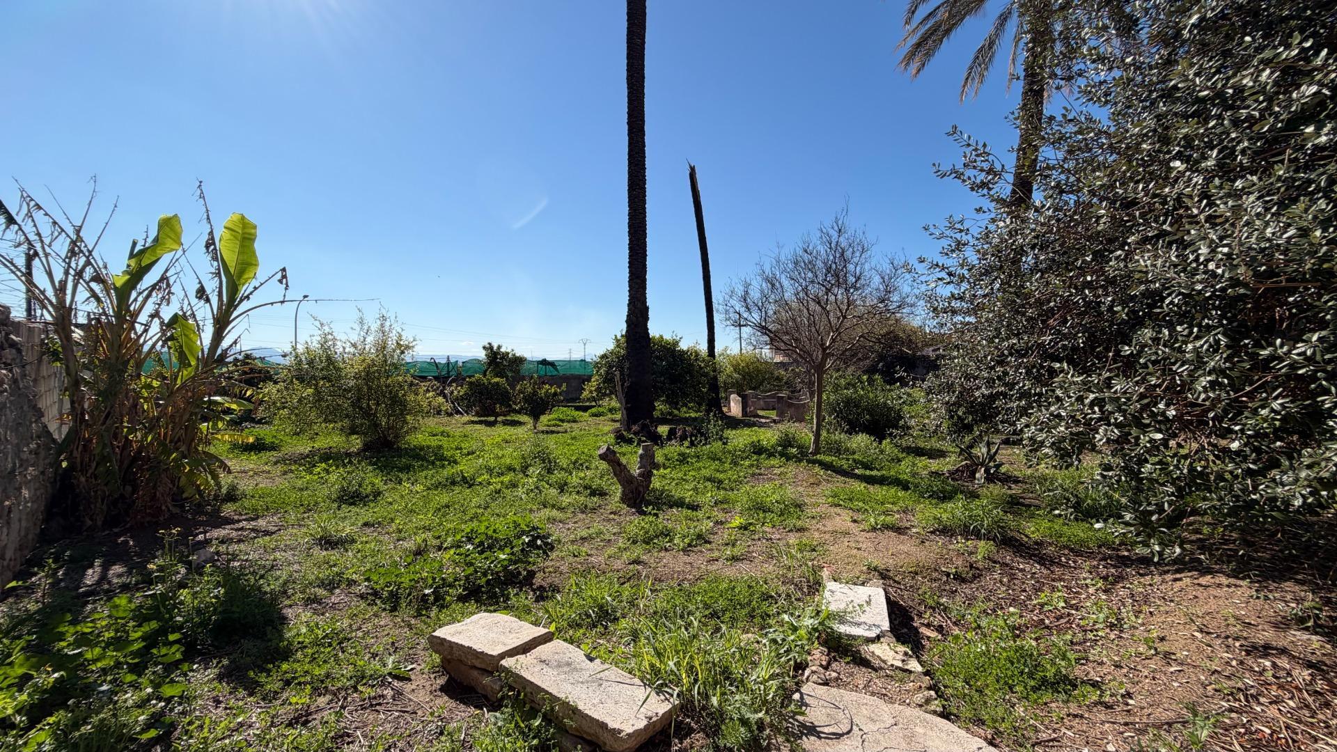 Fincas y solares-Venta-Alberic-2202575-Foto-2