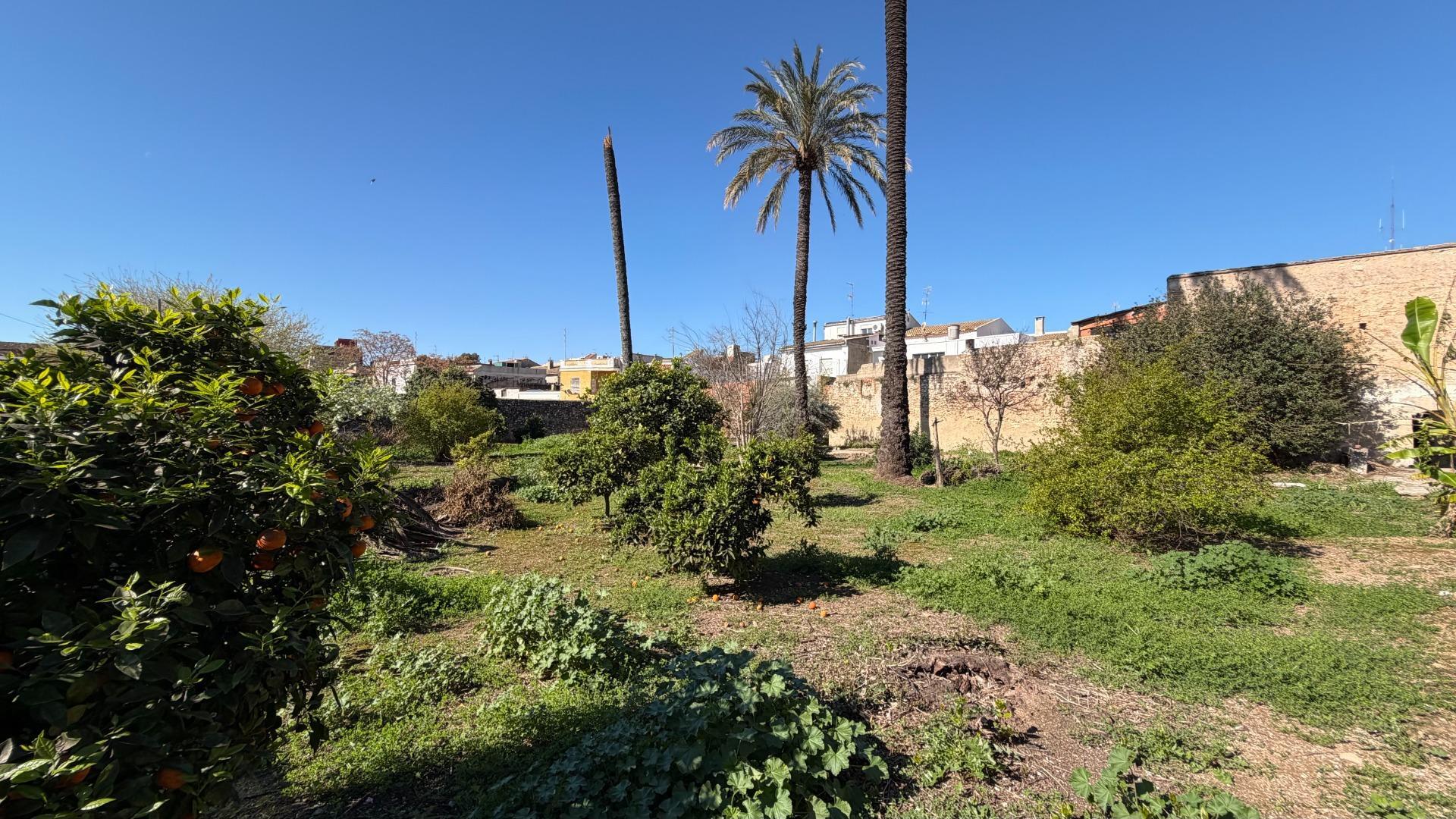 Fincas y solares-Venta-Alberic-2202575-Foto-5