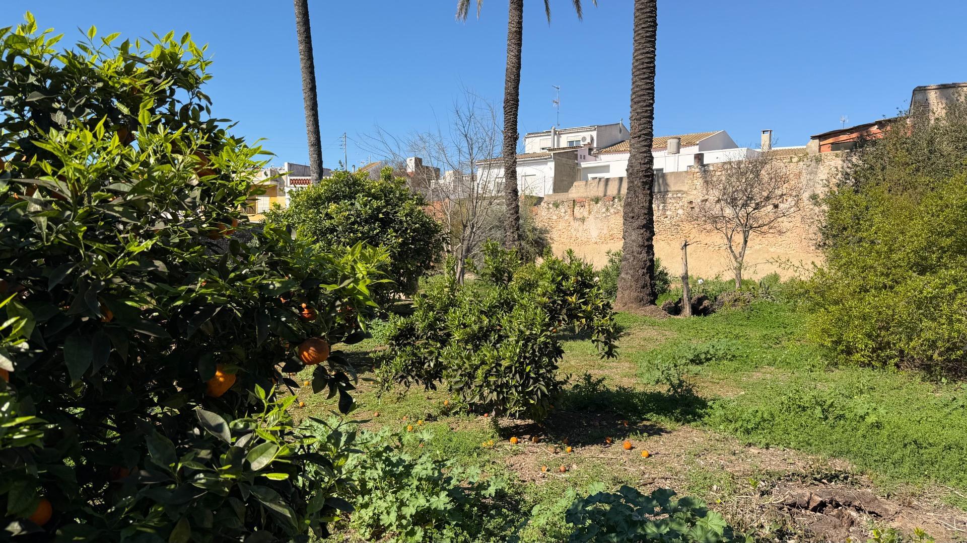 Fincas y solares-Venta-Alberic-2202575-Foto-6