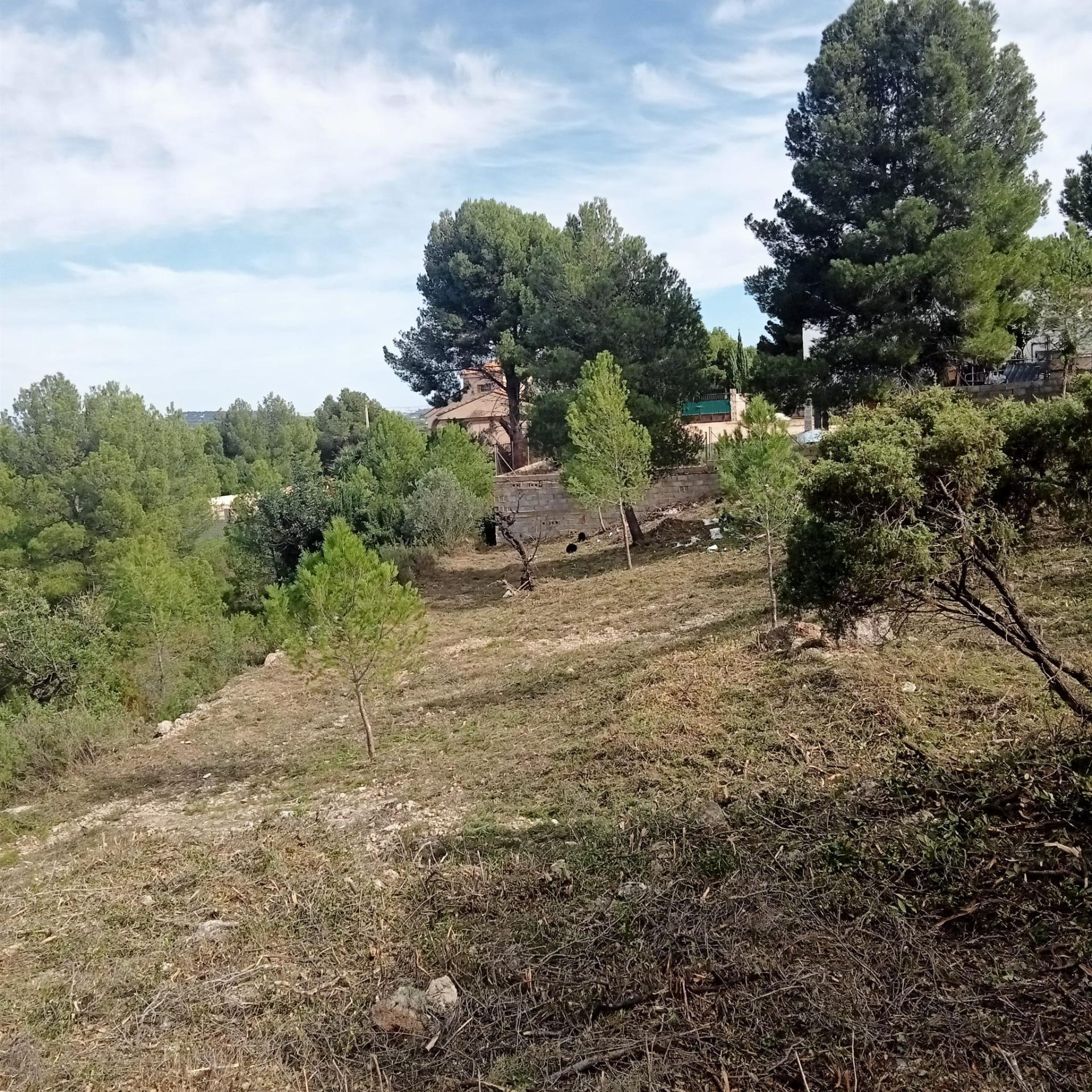 Fincas y solares-Venta-Godelleta-1520020-Foto-4