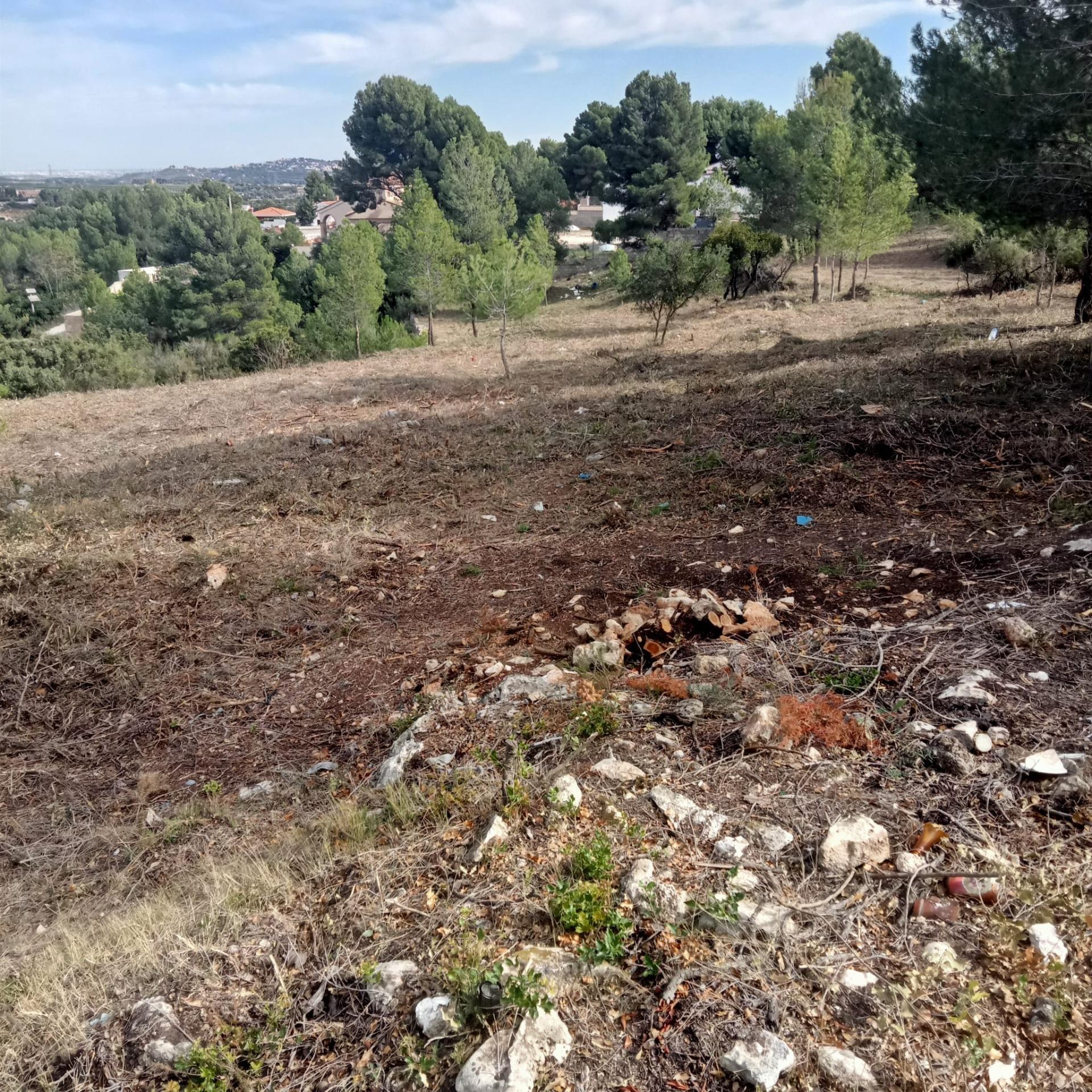 Fincas y solares-Venta-Godelleta-1520020-Foto-11