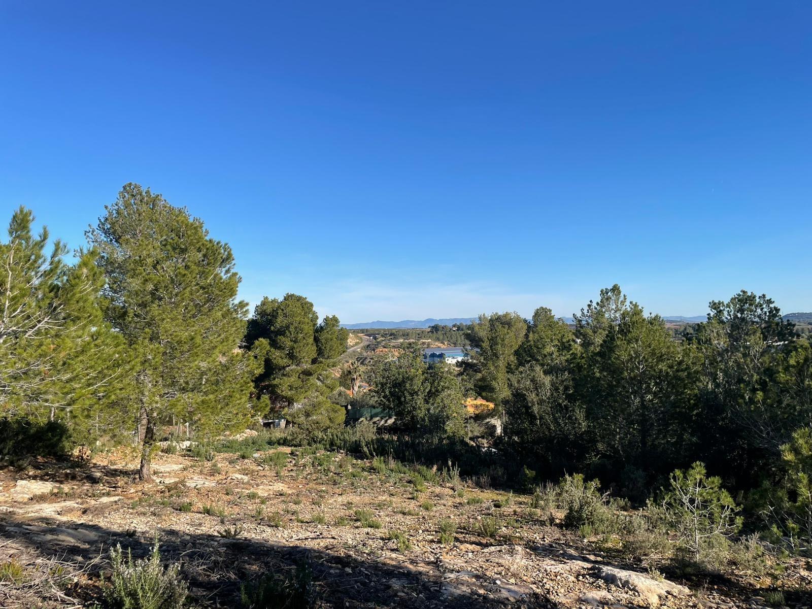 Fincas y solares-Venta-Godelleta-1520020-Foto-12