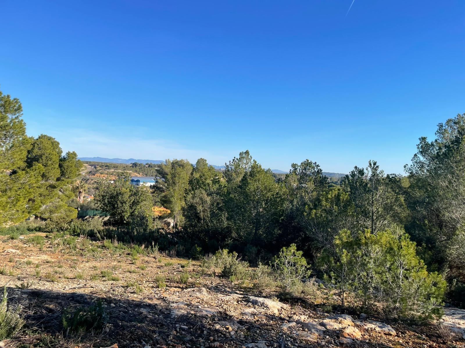 Fincas y solares-Venta-Godelleta-1520020-Foto-14