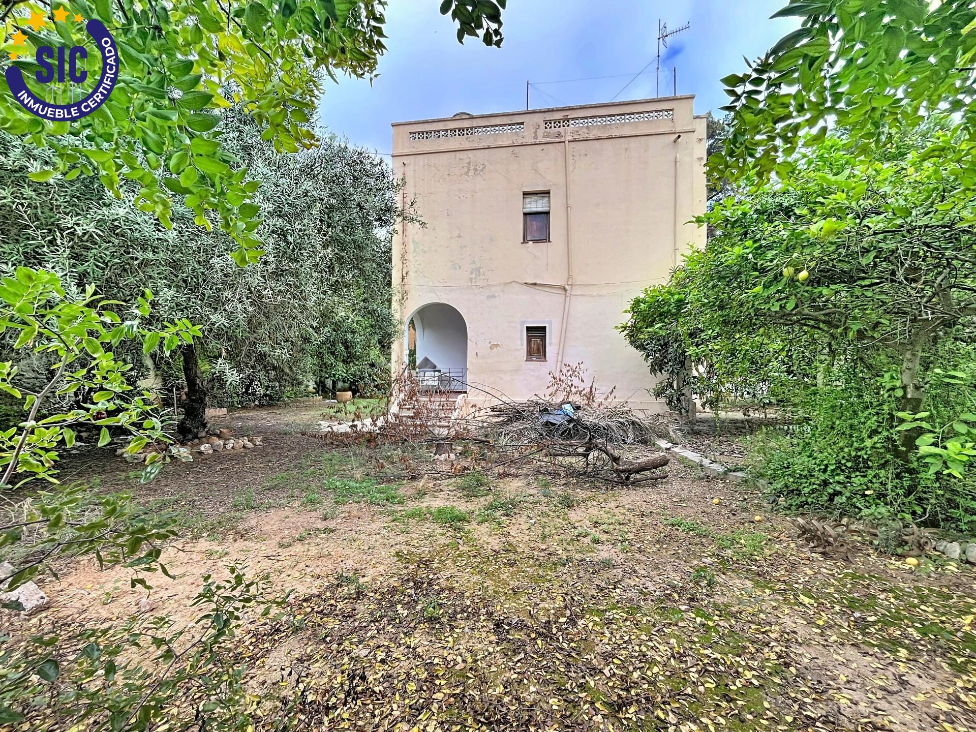 Fincas y solares-Venta-Alberic-2016811-Foto-5