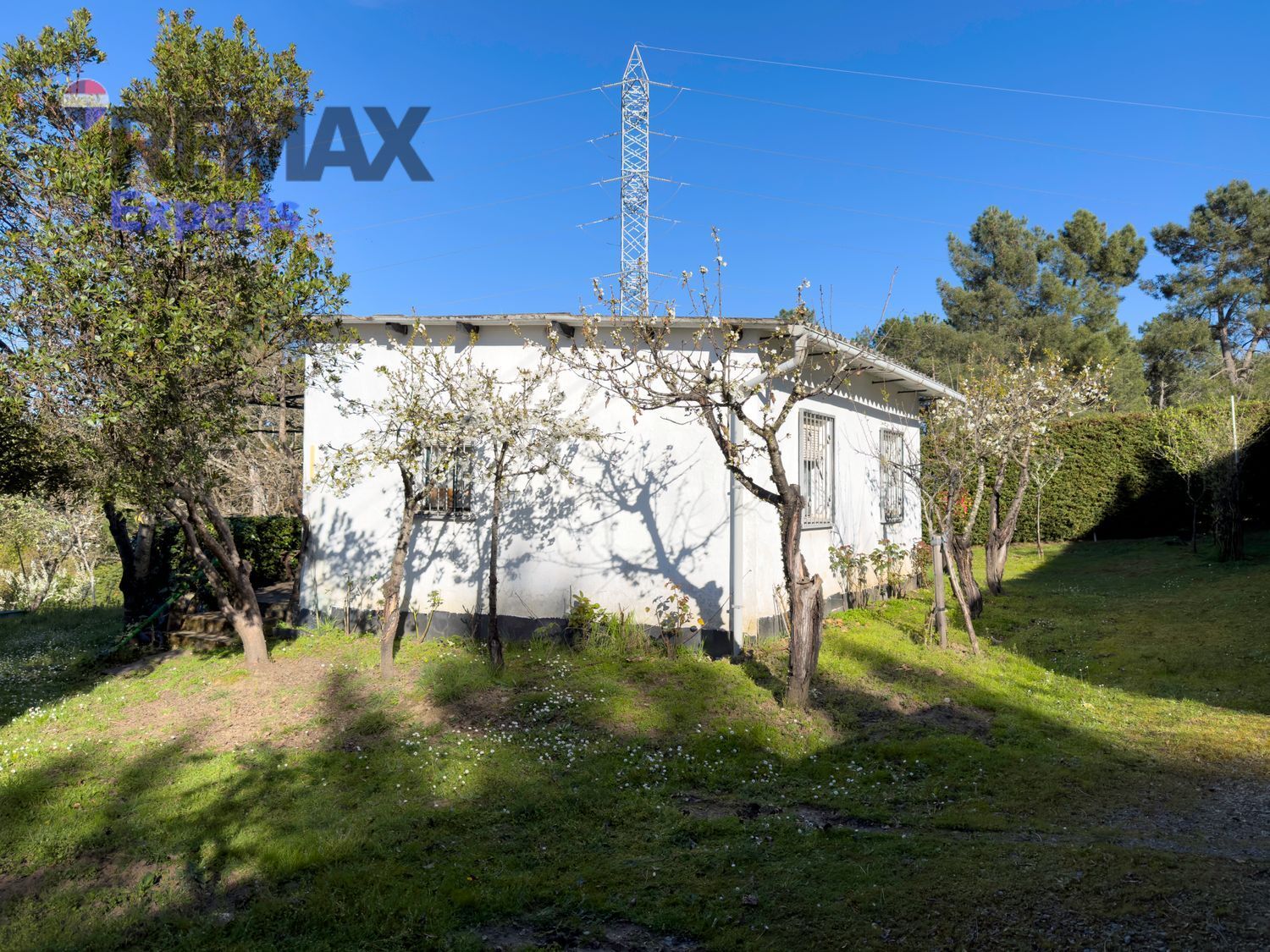 Fincas y solares-Venta-Ponferrada-2202593-Foto-3