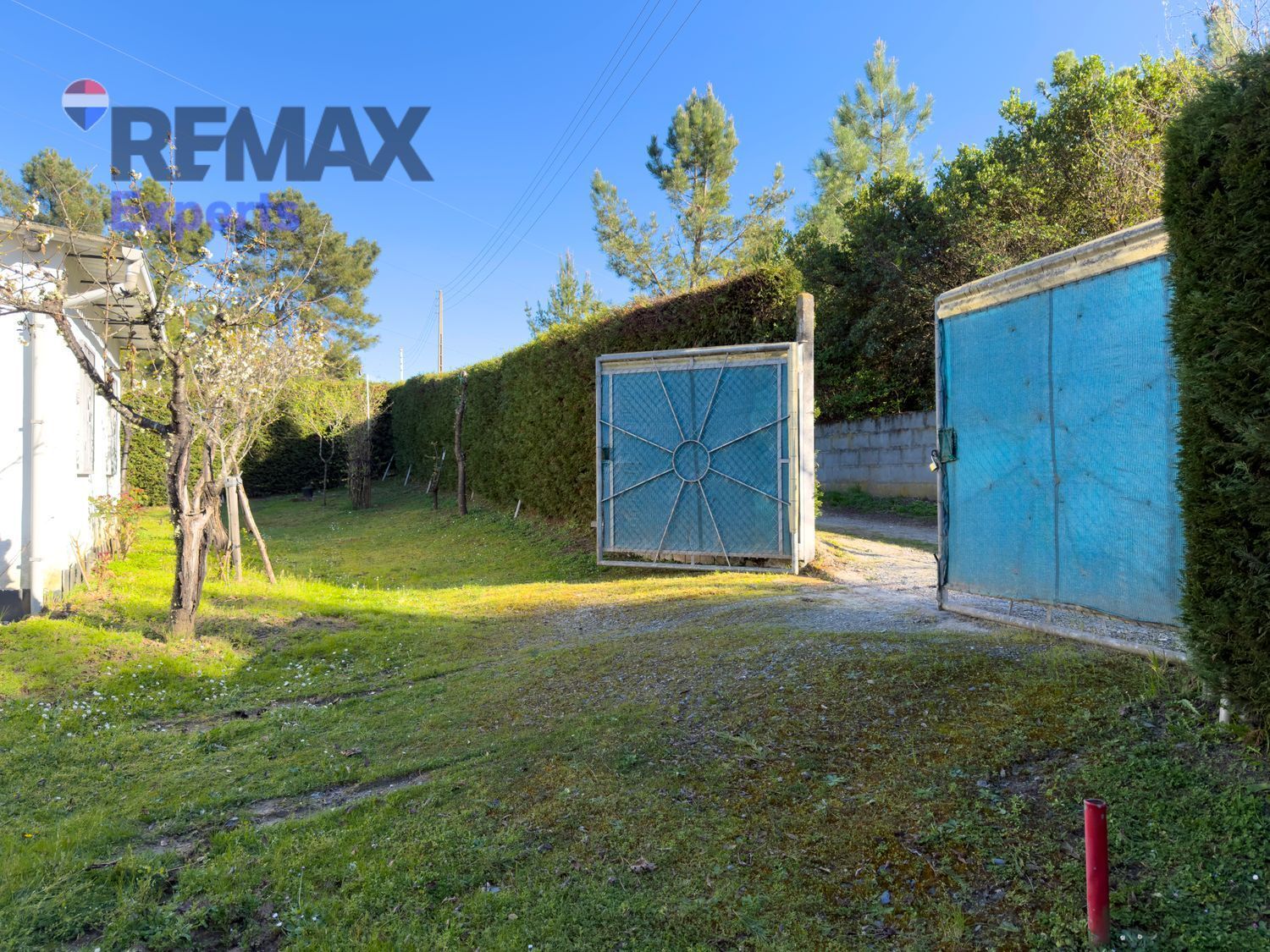 Fincas y solares-Venta-Ponferrada-2202593-Foto-4