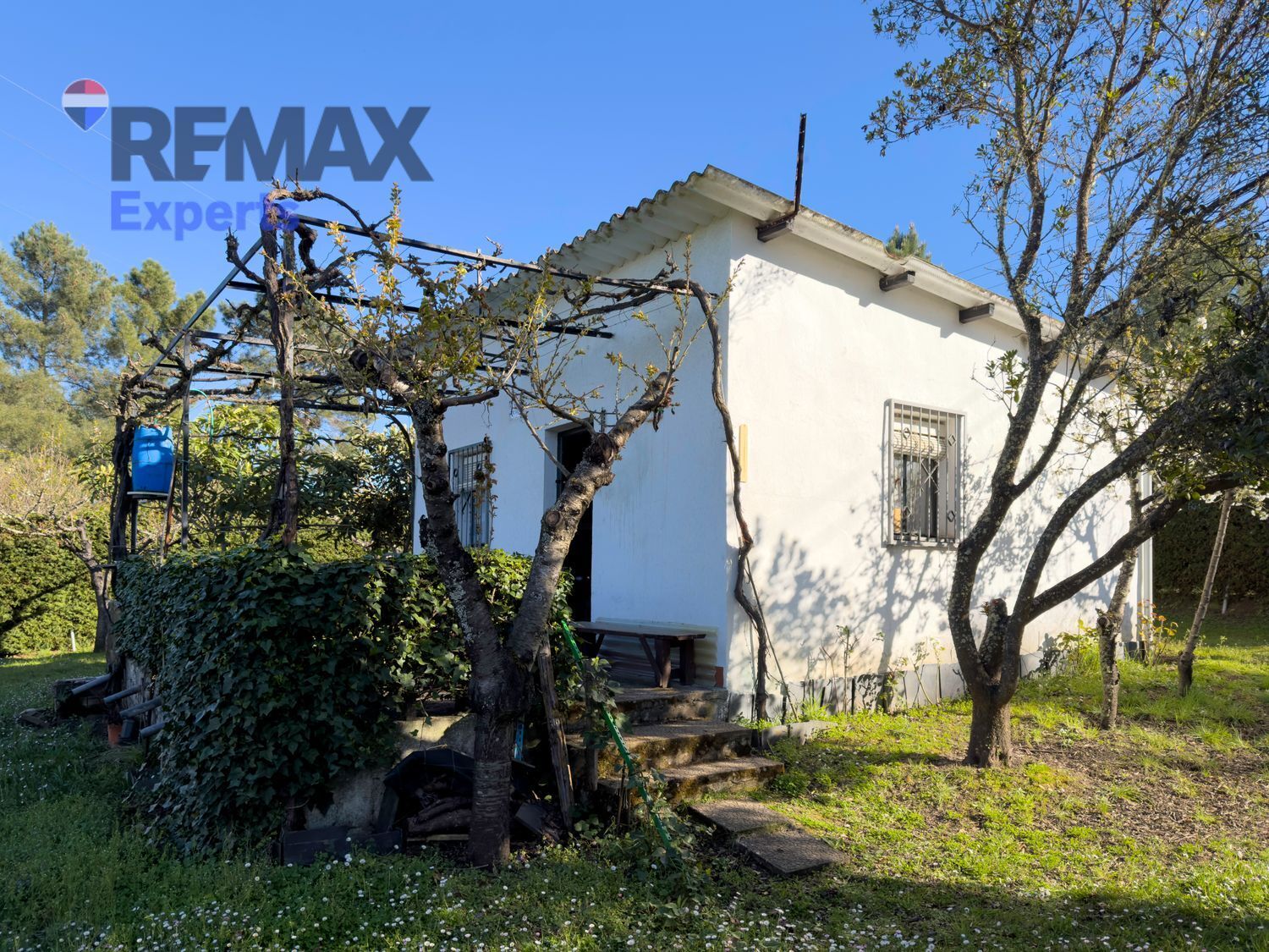 Fincas y solares-Venta-Ponferrada-2202593-Foto-2