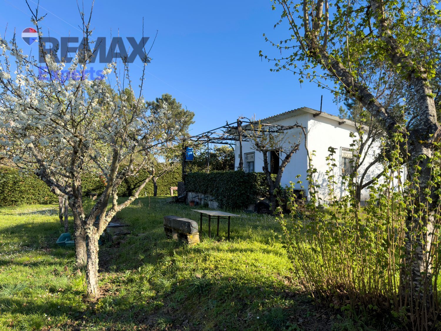 Fincas y solares-Venta-Ponferrada-2202593-Foto-8