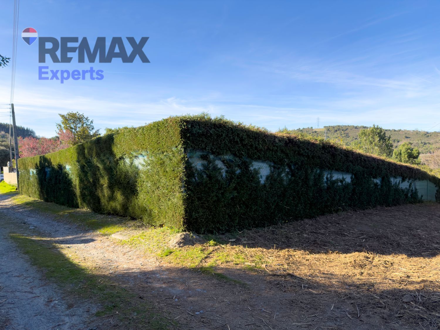 Fincas y solares-Venta-Ponferrada-2202593-Foto-9