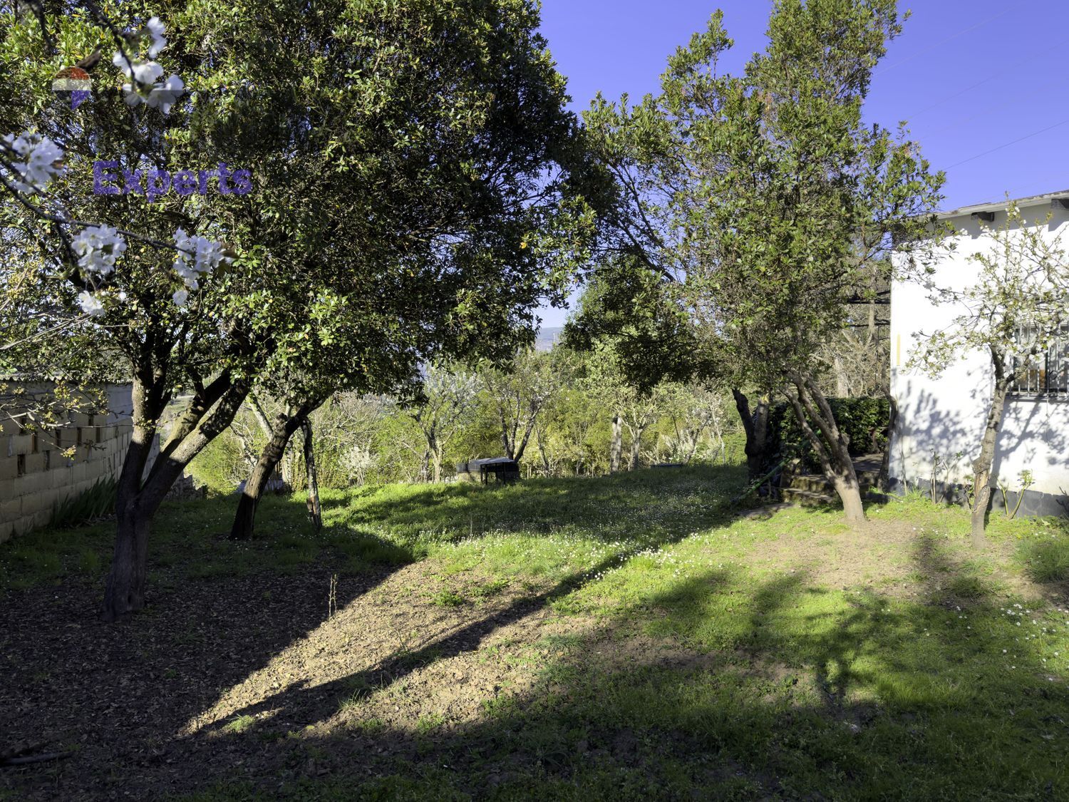 Fincas y solares-Venta-Ponferrada-2202593-Foto-10