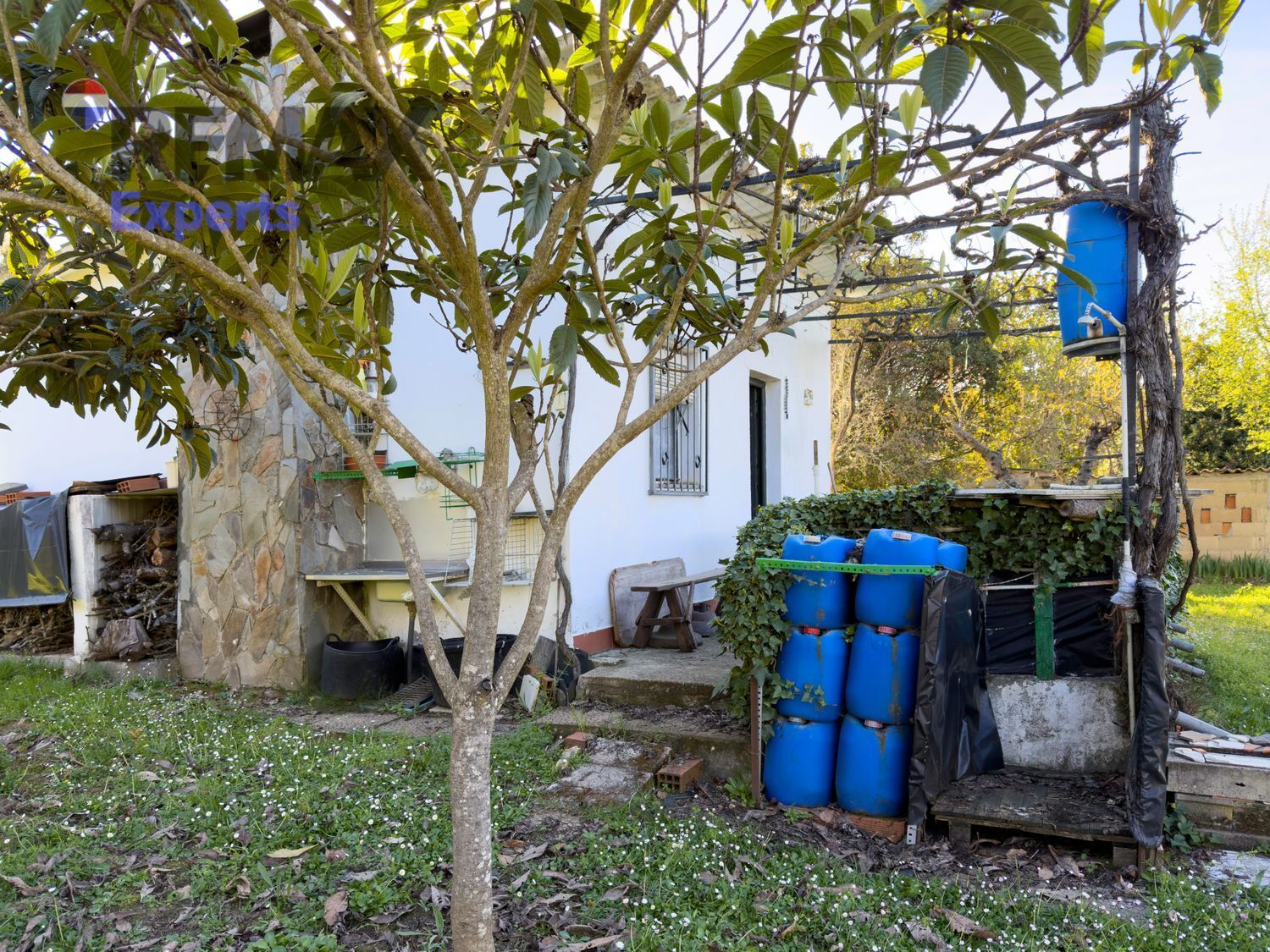 Fincas y solares-Venta-Ponferrada-2202593-Foto-19