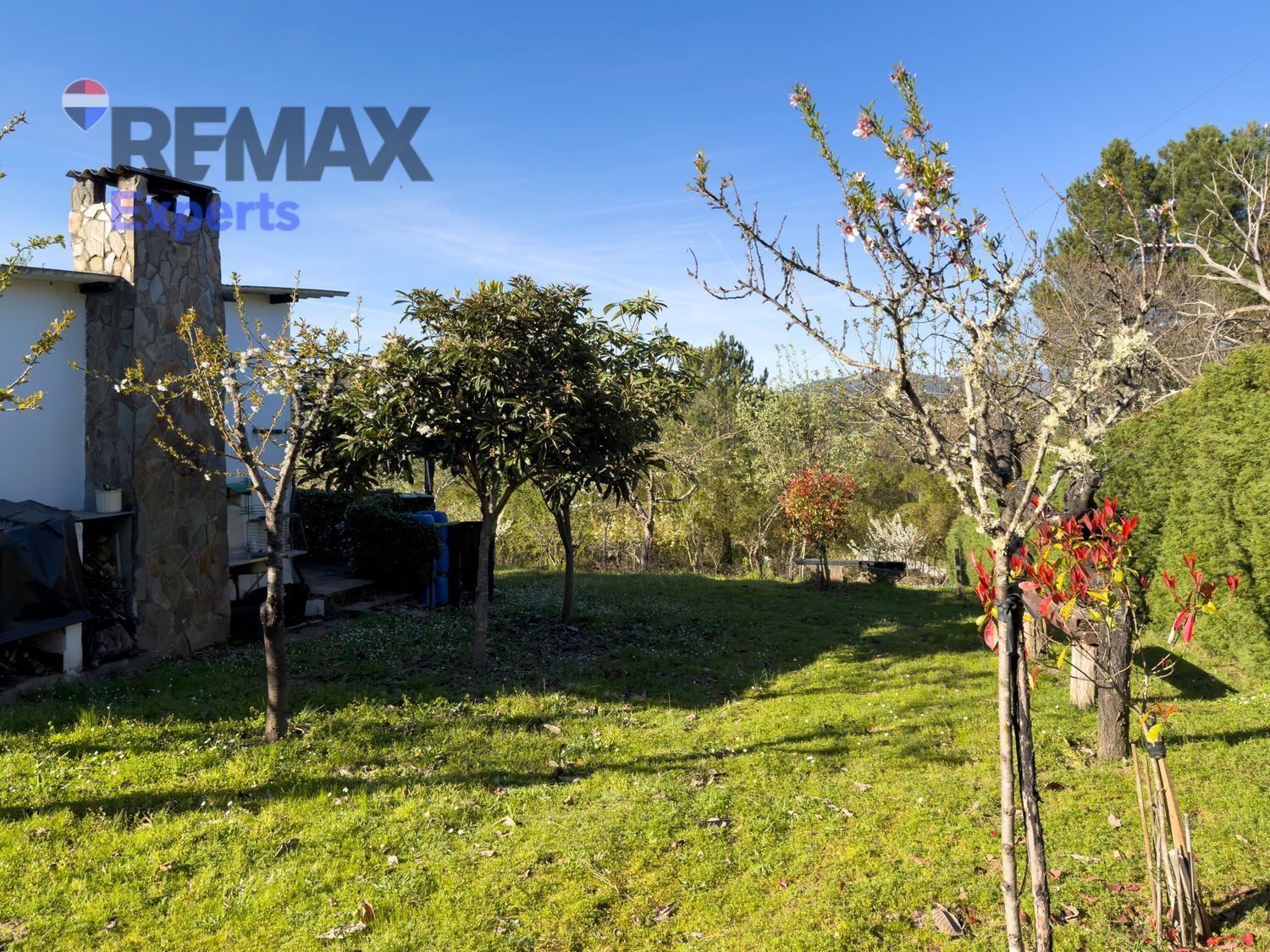 Fincas y solares-Venta-Ponferrada-2202593-Foto-18