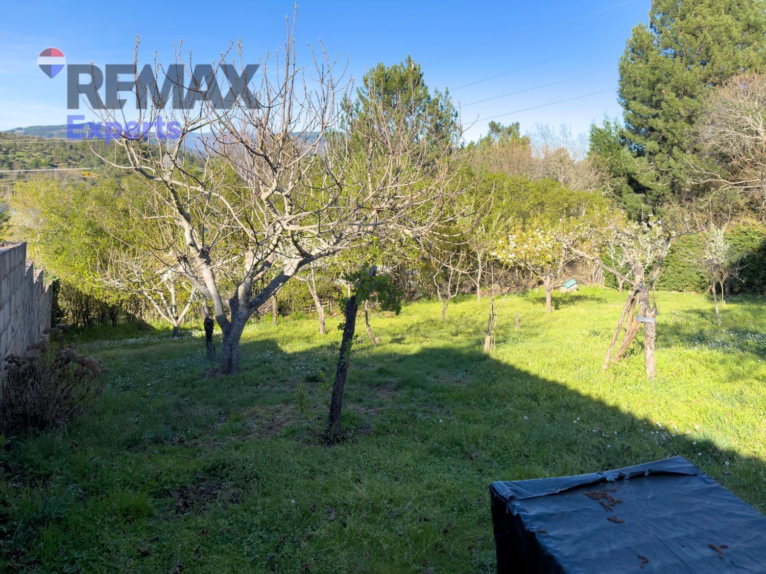 Fincas y solares-Venta-Ponferrada-2202593-Foto-21