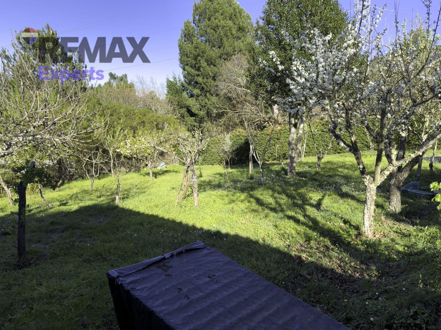 Fincas y solares-Venta-Ponferrada-2202593-Foto-22