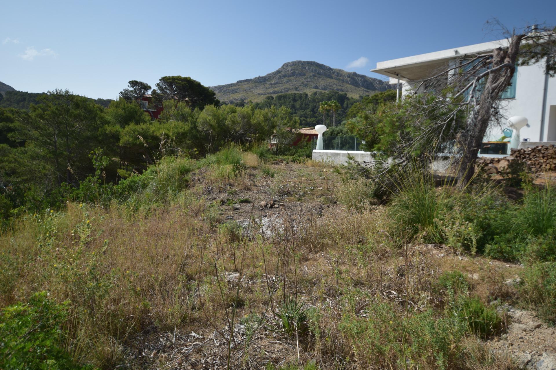 Fincas y solares-Venta-PollenÃ§a-1761225-Foto-4