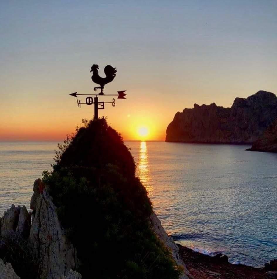 Fincas y solares-Venta-PollenÃ§a-1761225-Foto-8