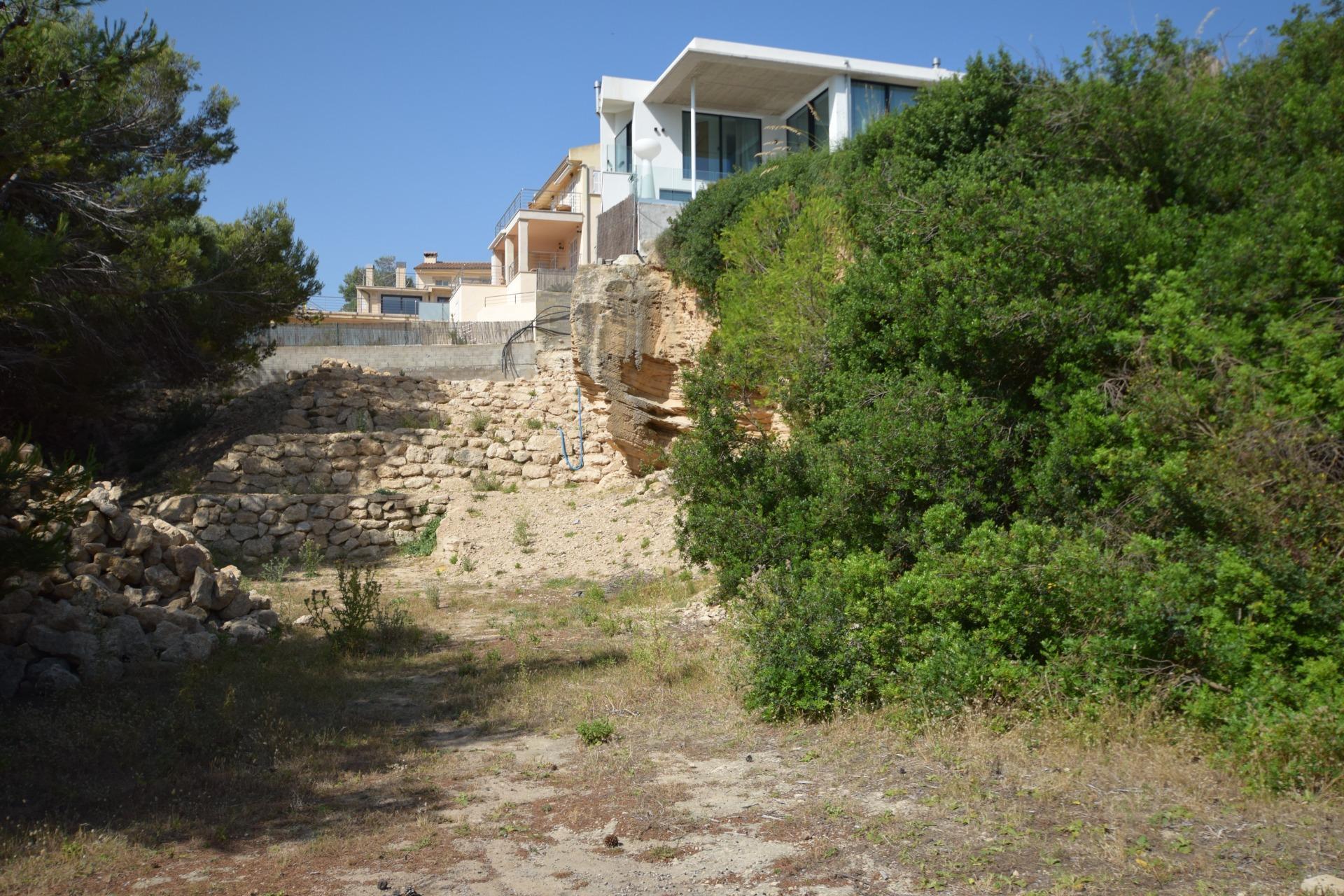 Fincas y solares-Venta-PollenÃ§a-1761225-Foto-15