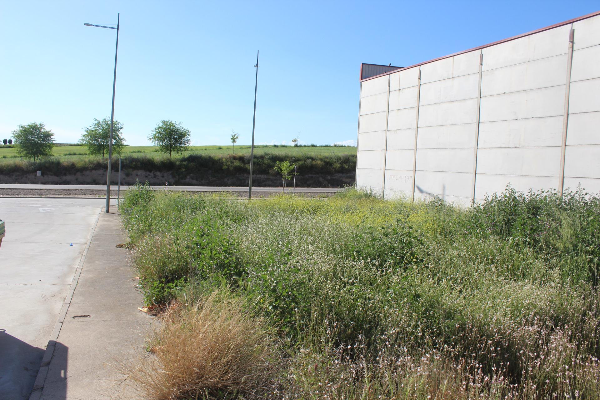 Fincas y solares-Venta-Escalonilla-1651071-Foto-4