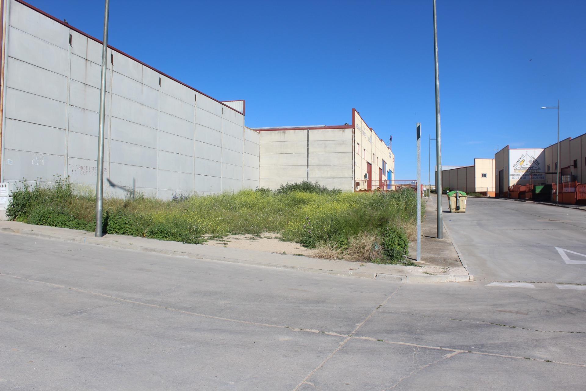 Fincas y solares-Venta-Escalonilla-1651071-Foto-6