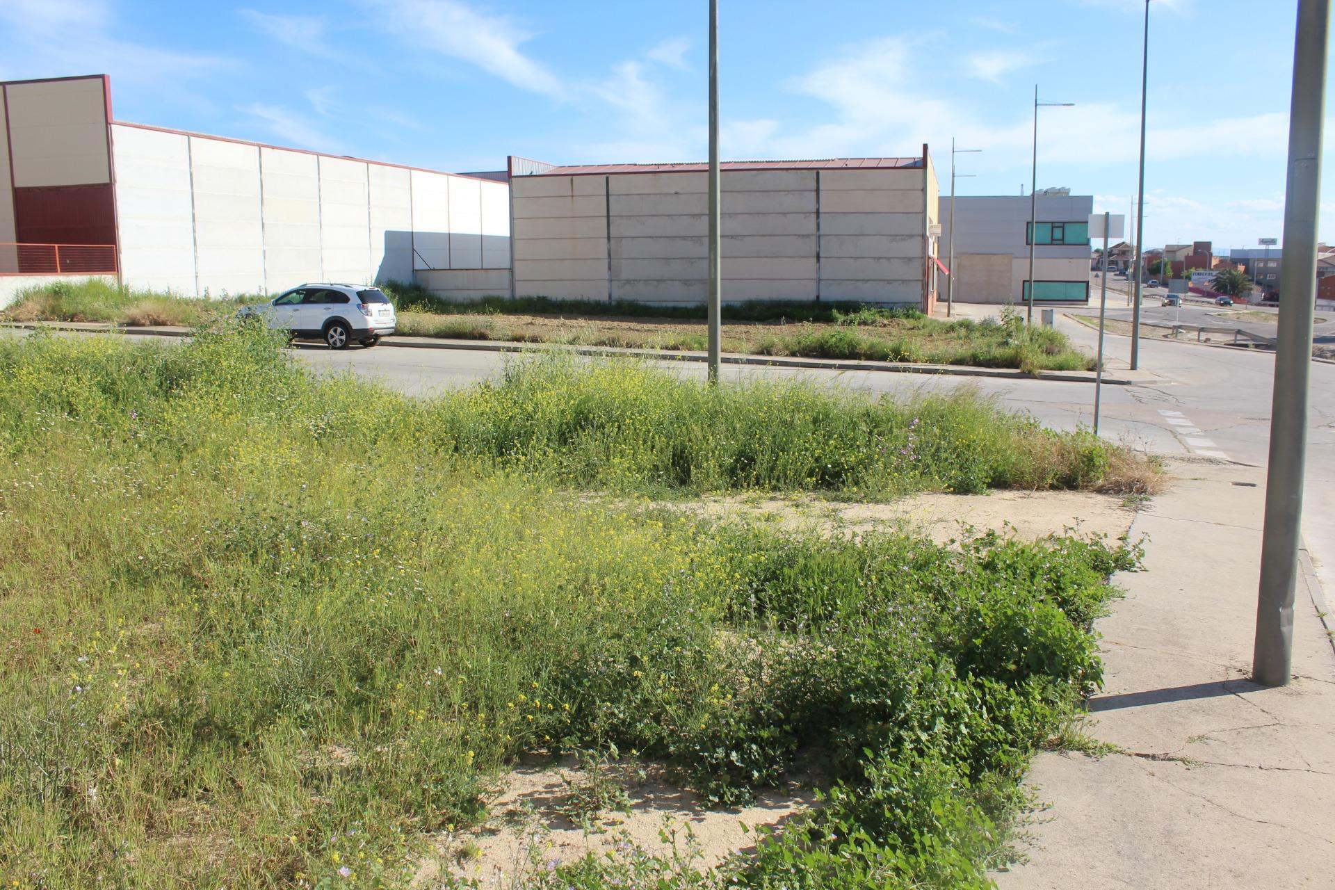 Fincas y solares-Venta-Escalonilla-1651071-Foto-9