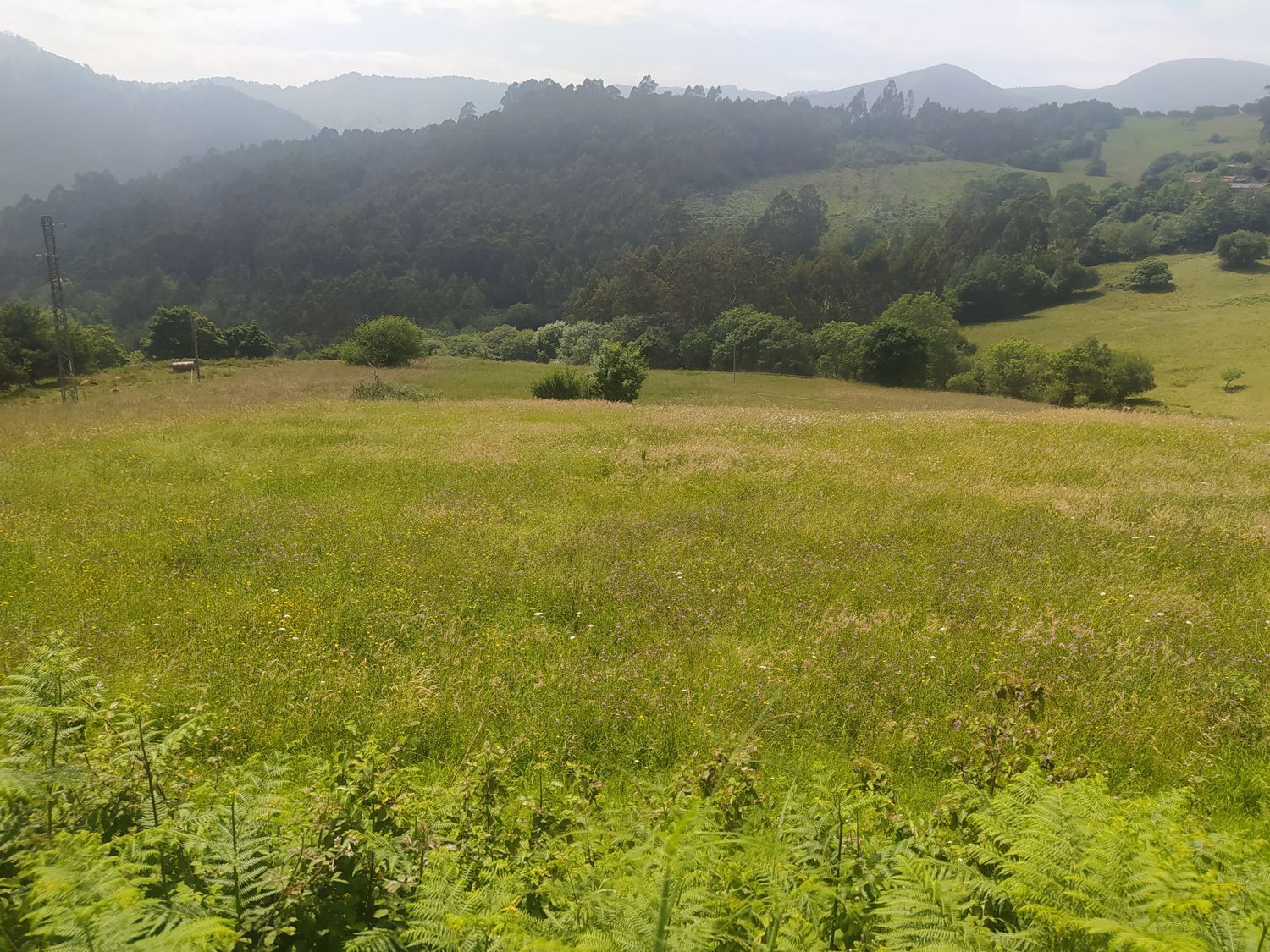 Fincas y solares-Venta-Las Tres Villas-589428-Foto-3