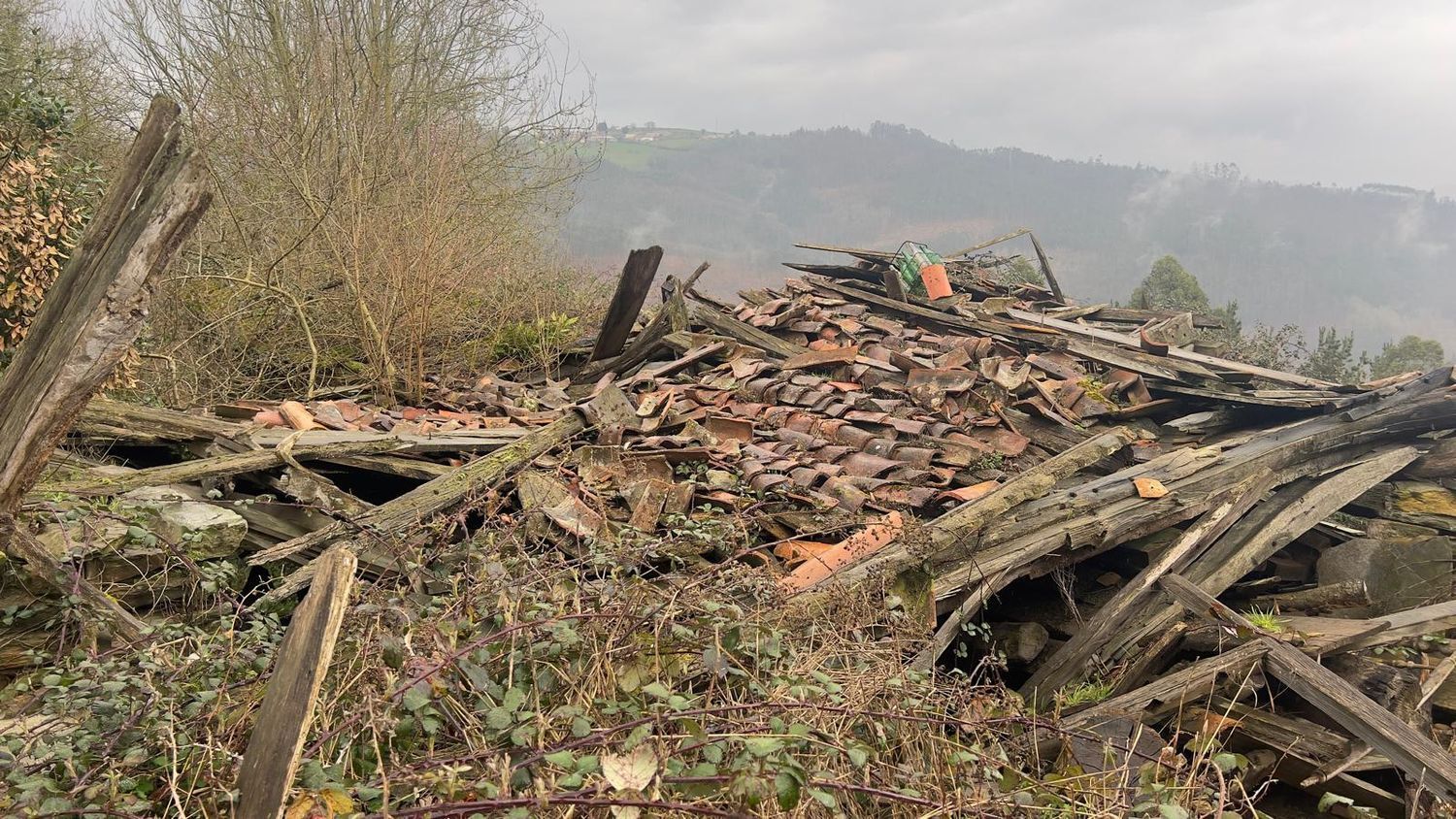 Casas o chalets-Venta-Tineo-2201789-Foto-10