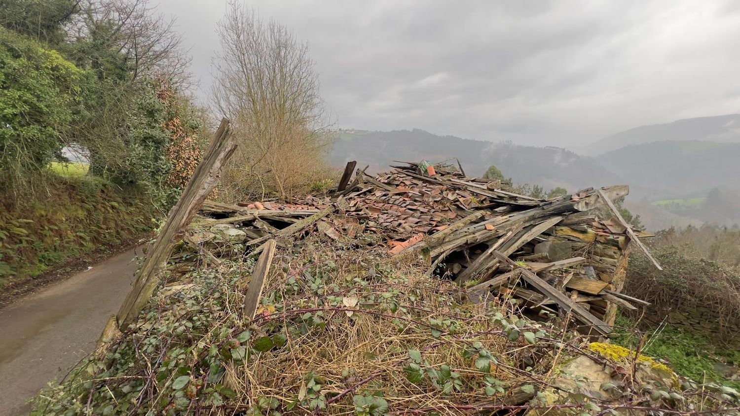 Casas o chalets-Venta-Tineo-2201789-Foto-9