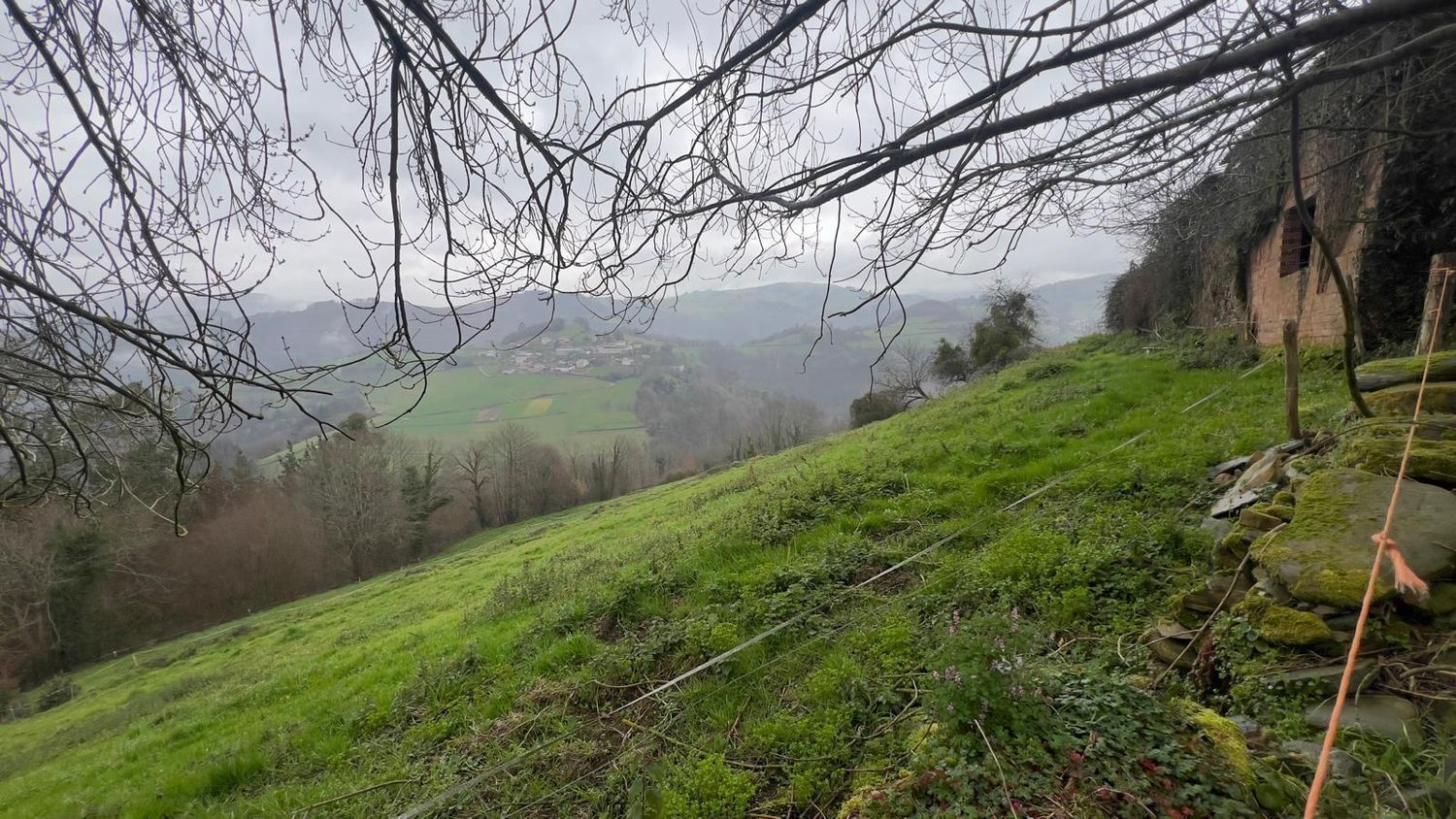 Casas o chalets-Venta-Tineo-2201789-Foto-17