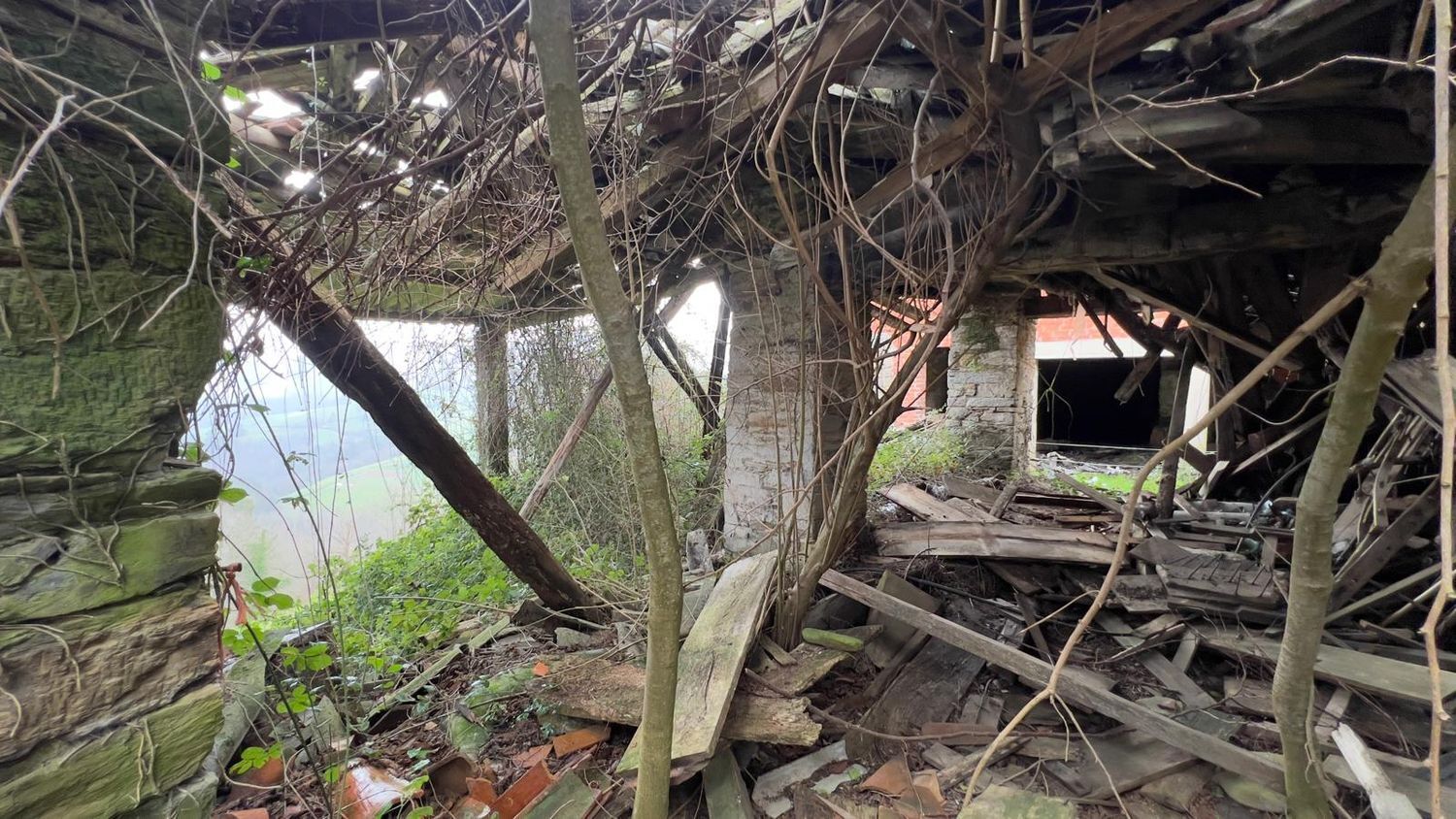 Casas o chalets-Venta-Tineo-2201789-Foto-20