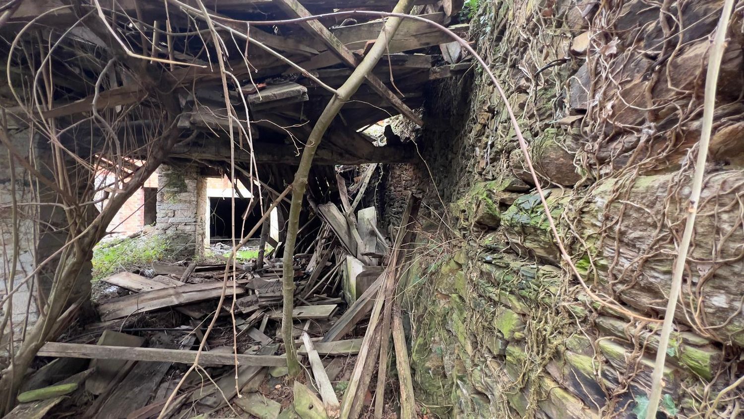 Casas o chalets-Venta-Tineo-2201789-Foto-21