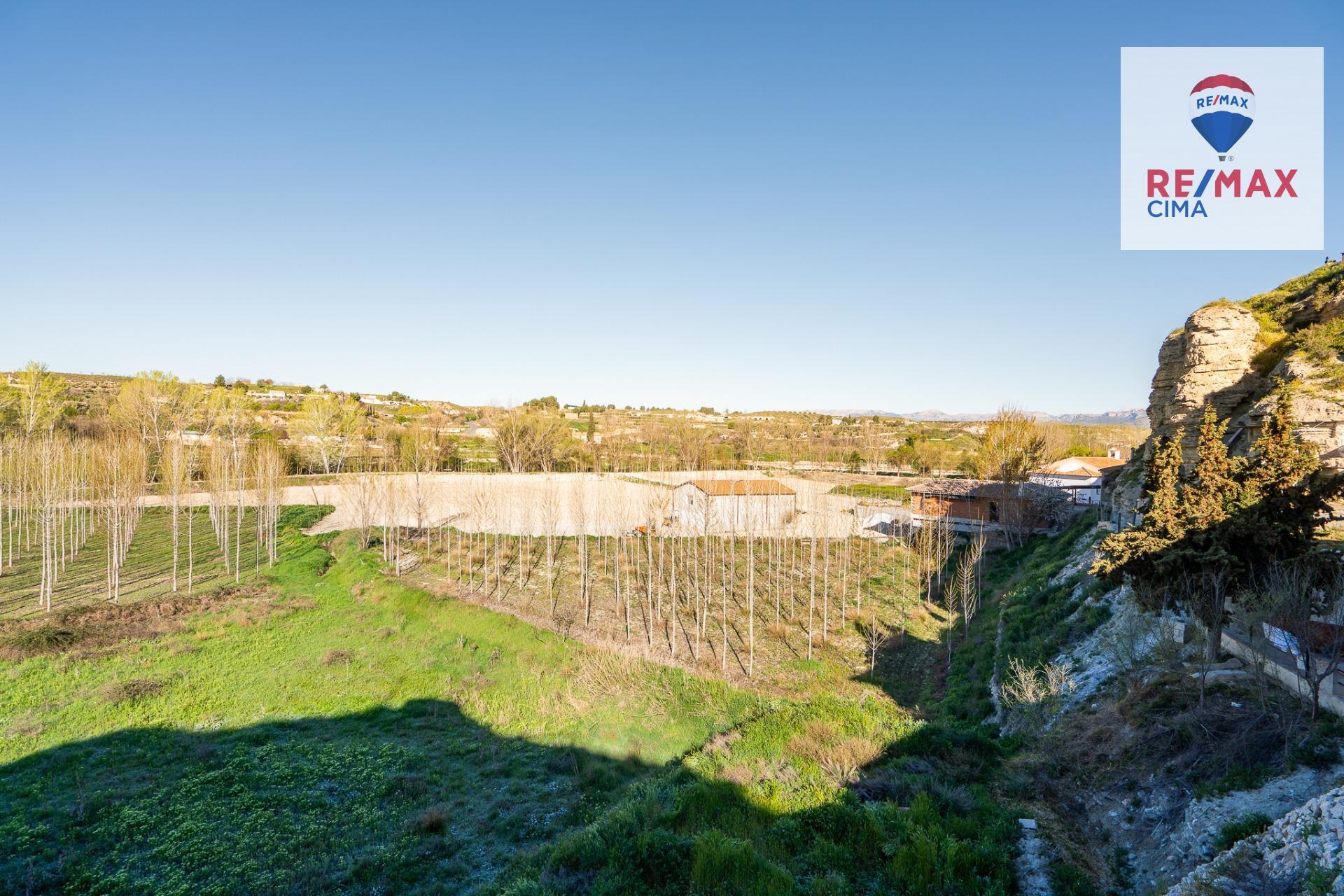 Casas o chalets-Venta-CastillÃ©jar-2207131-Foto-21