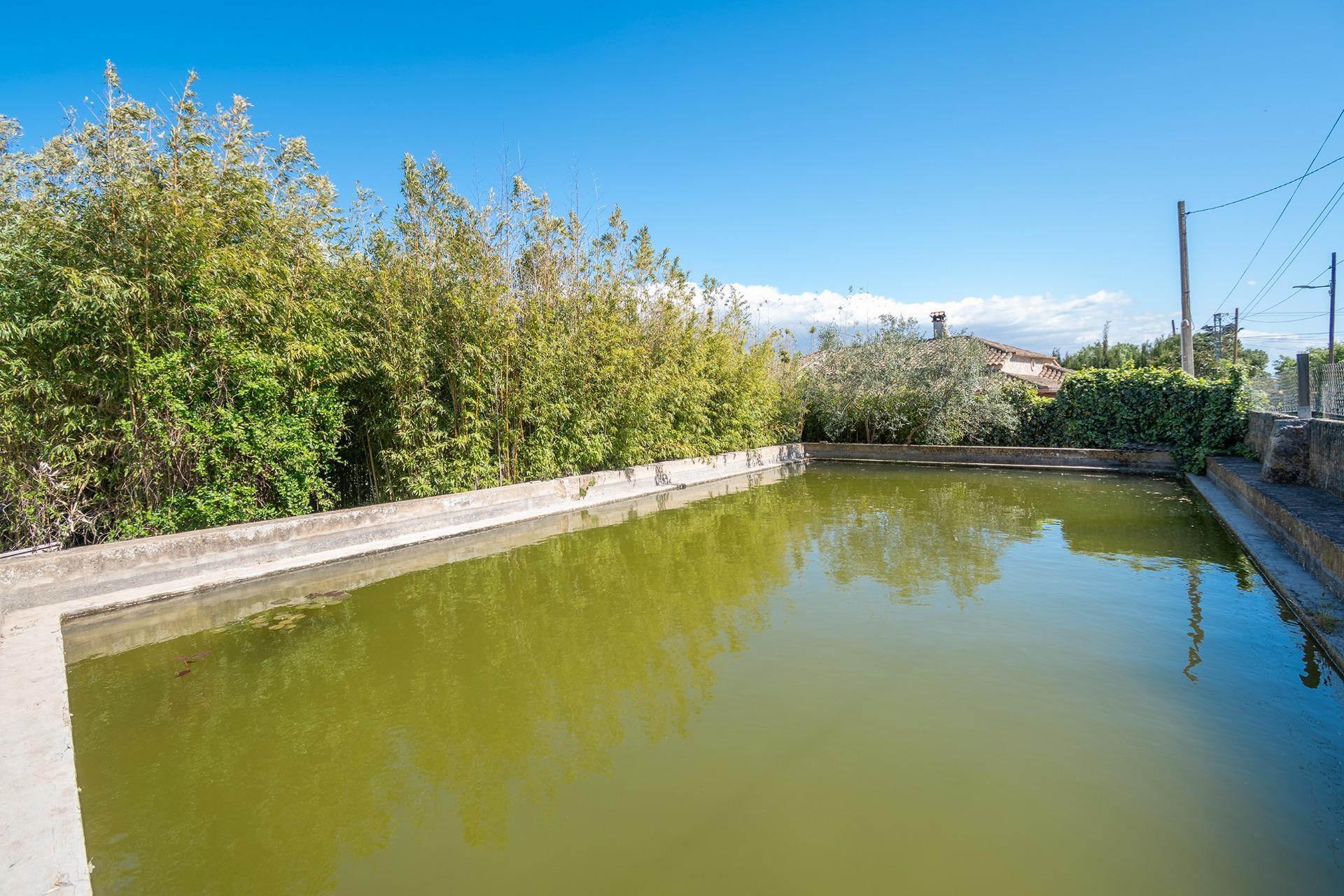 Foto 49