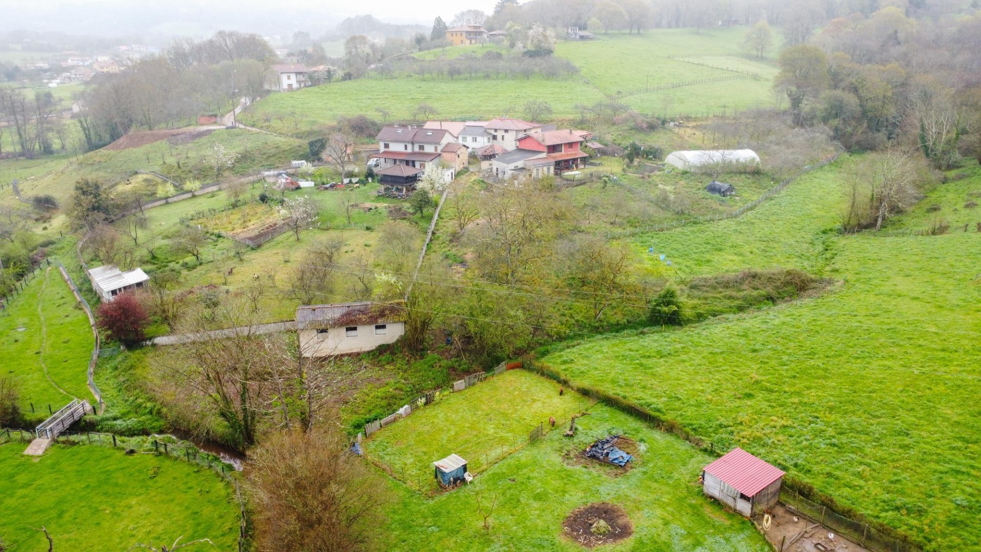 Fincas y solares-Venta-Siero-2207110-Foto-10