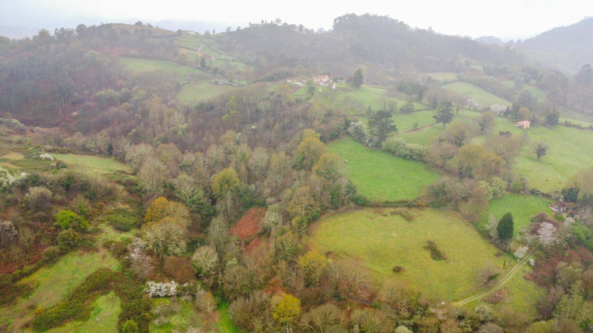 Fincas y solares-Venta-Siero-2207110-Foto-14