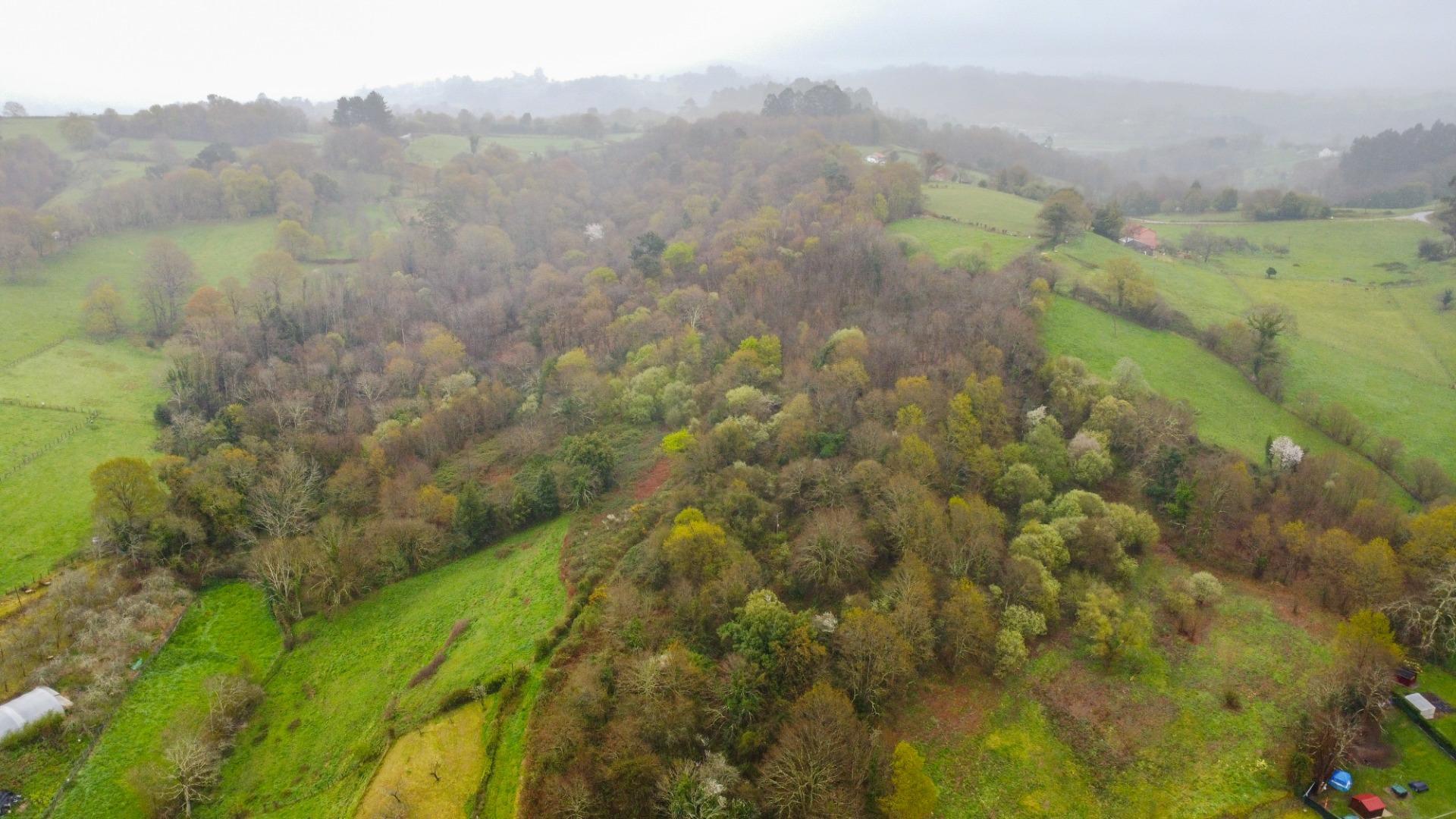 Fincas y solares-Venta-Siero-2207110-Foto-13