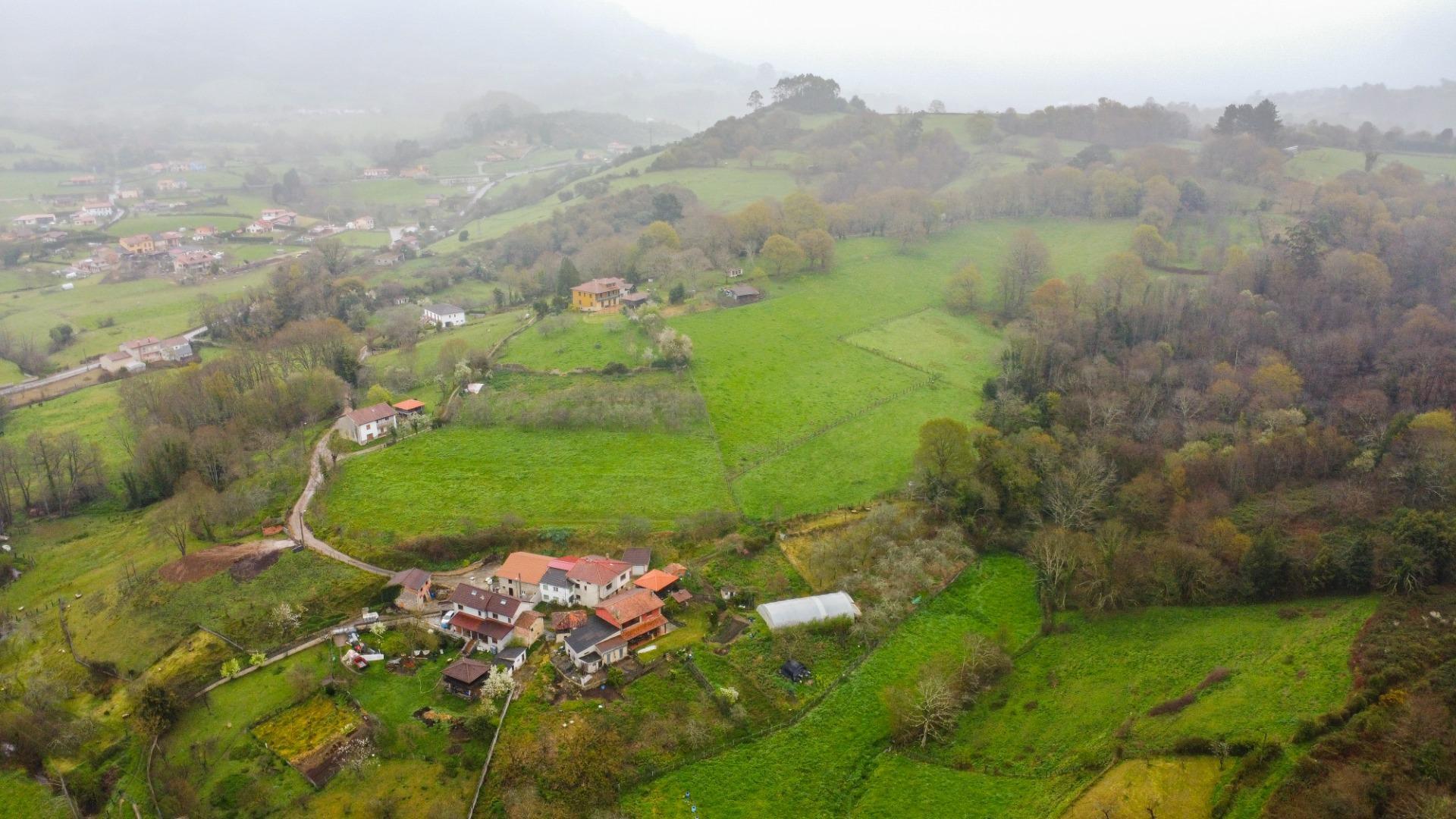 Fincas y solares-Venta-Siero-2207110-Foto-16