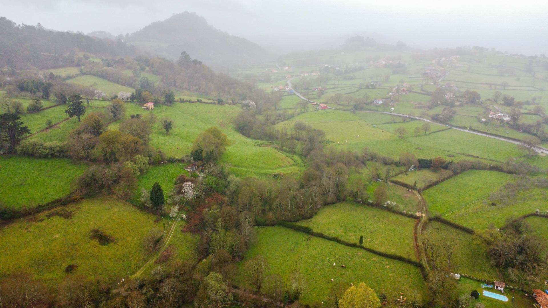 Fincas y solares-Venta-Siero-2207110-Foto-19