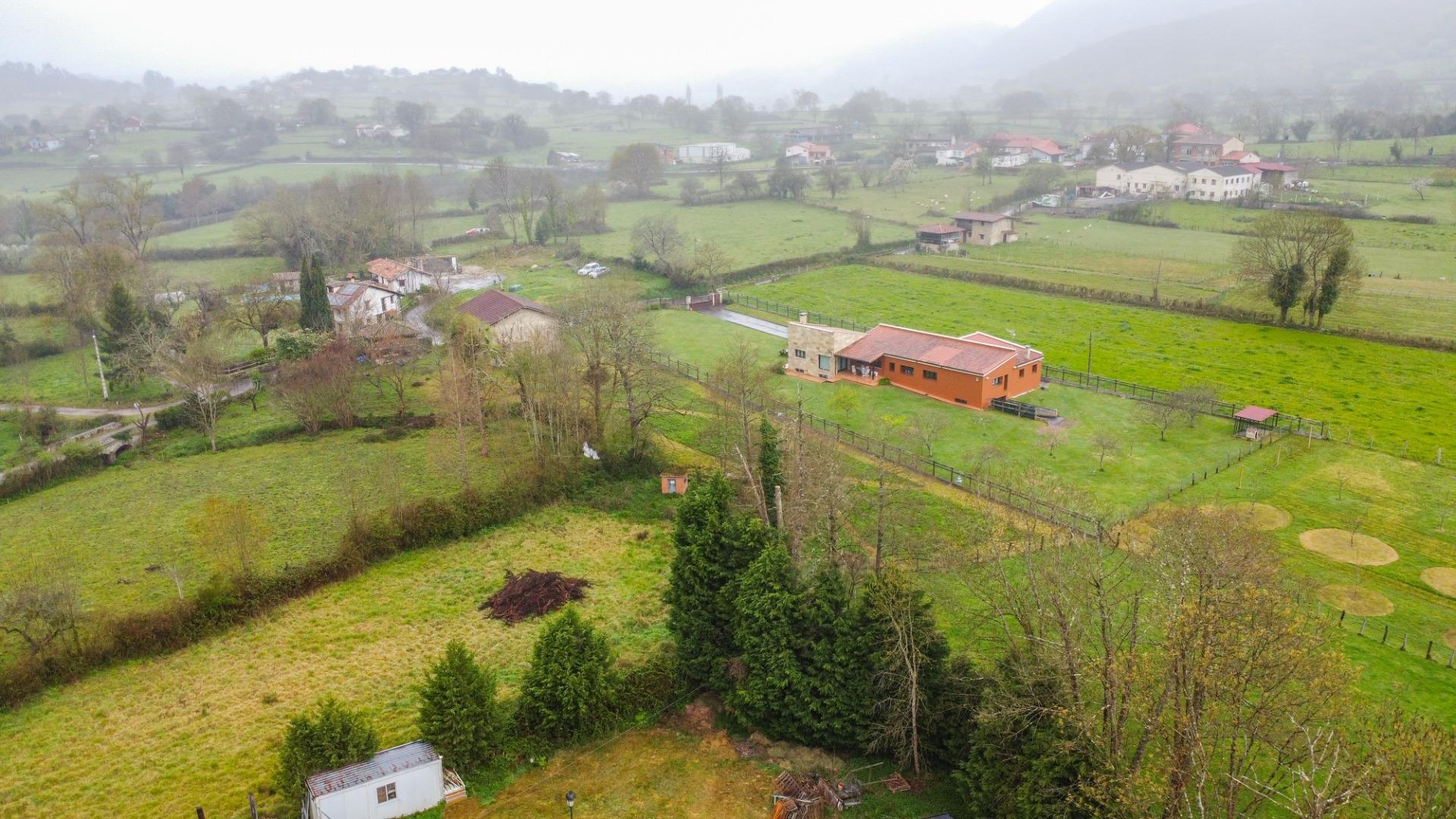 Fincas y solares-Venta-Siero-2207110-Foto-23