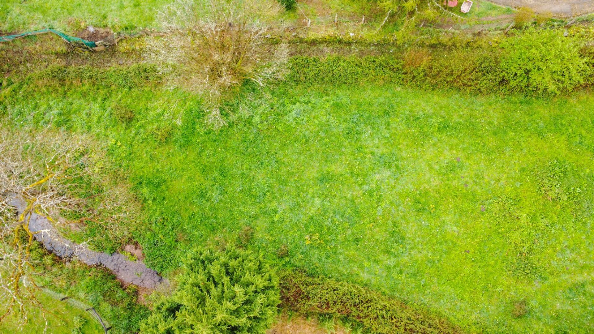 Fincas y solares-Venta-Siero-2207110-Foto-21