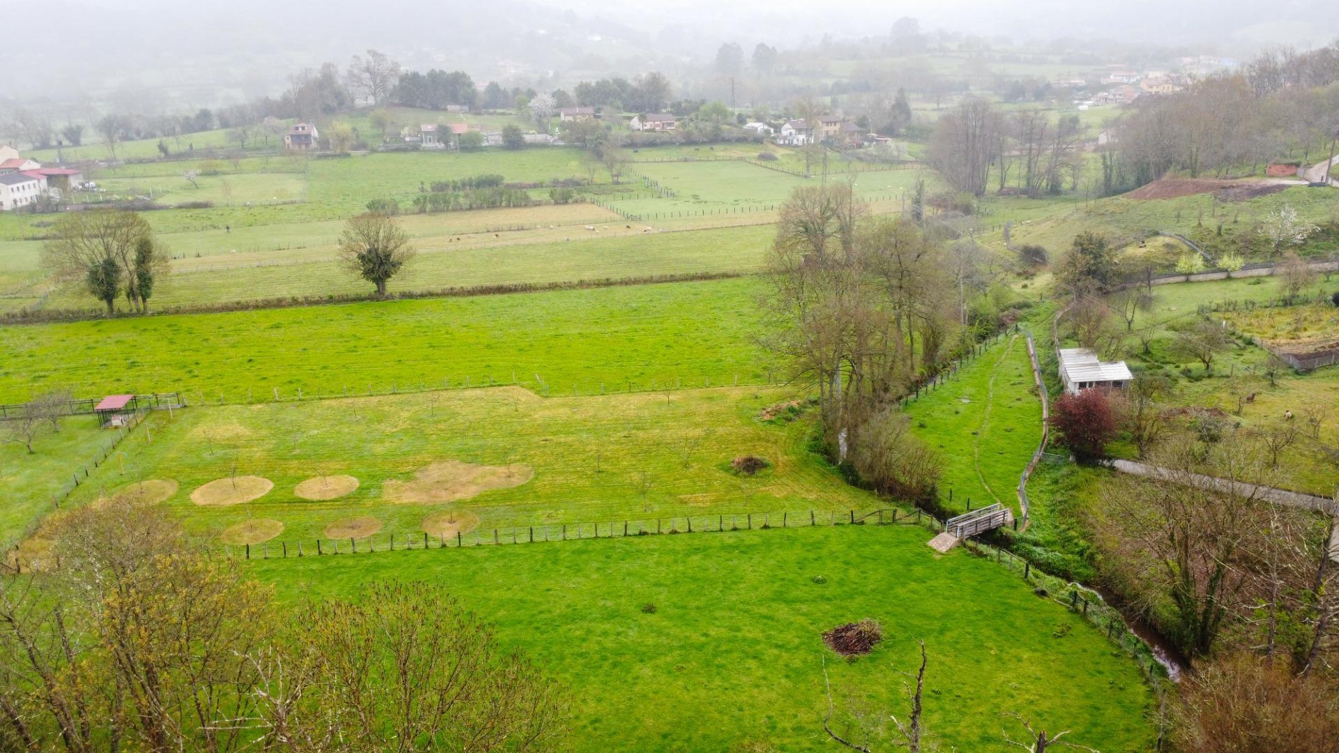 Fincas y solares-Venta-Siero-2207110-Foto-29