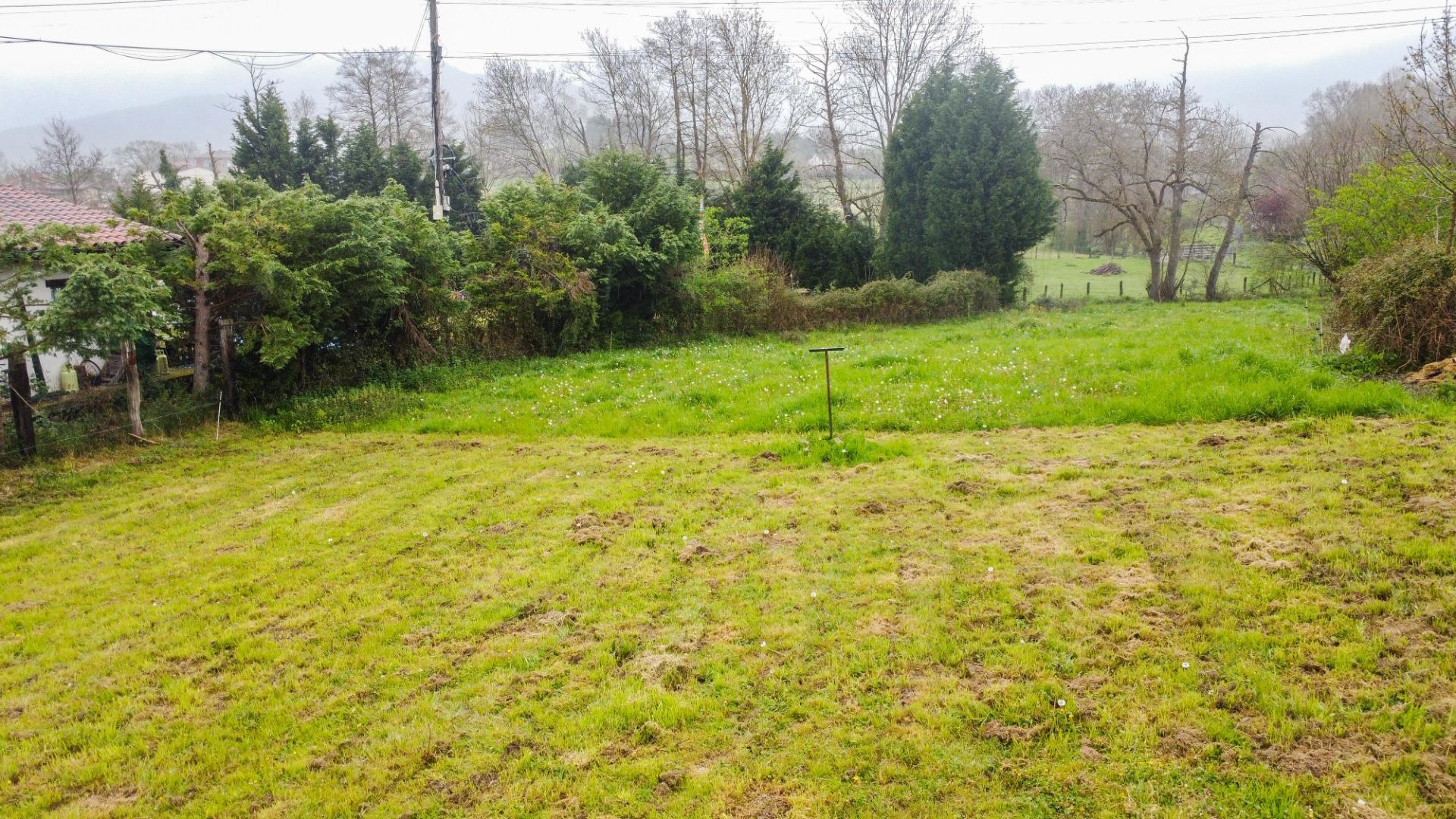 Fincas y solares-Venta-Siero-2207110-Foto-35