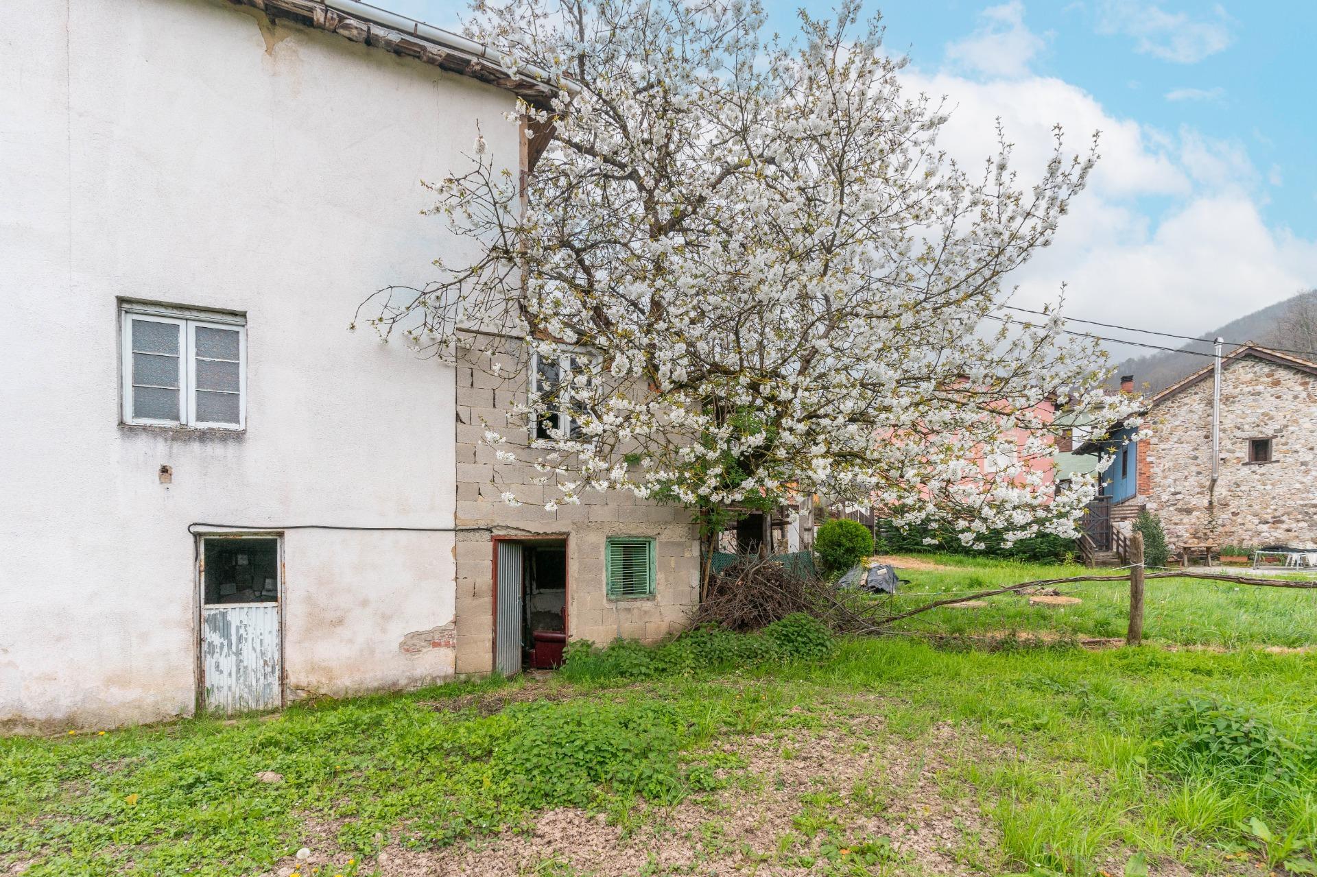 Casas o chalets-Venta-Laviana-2207128-Foto-5