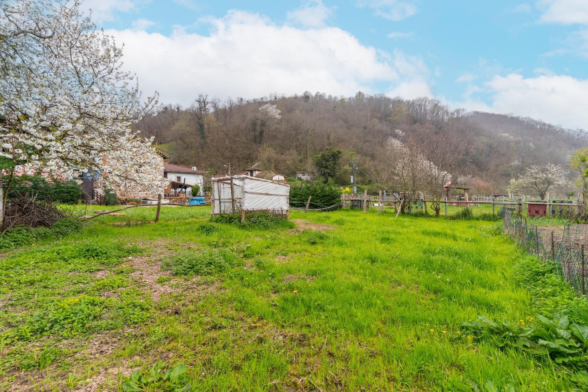 Casas o chalets-Venta-Laviana-2207128-Foto-49