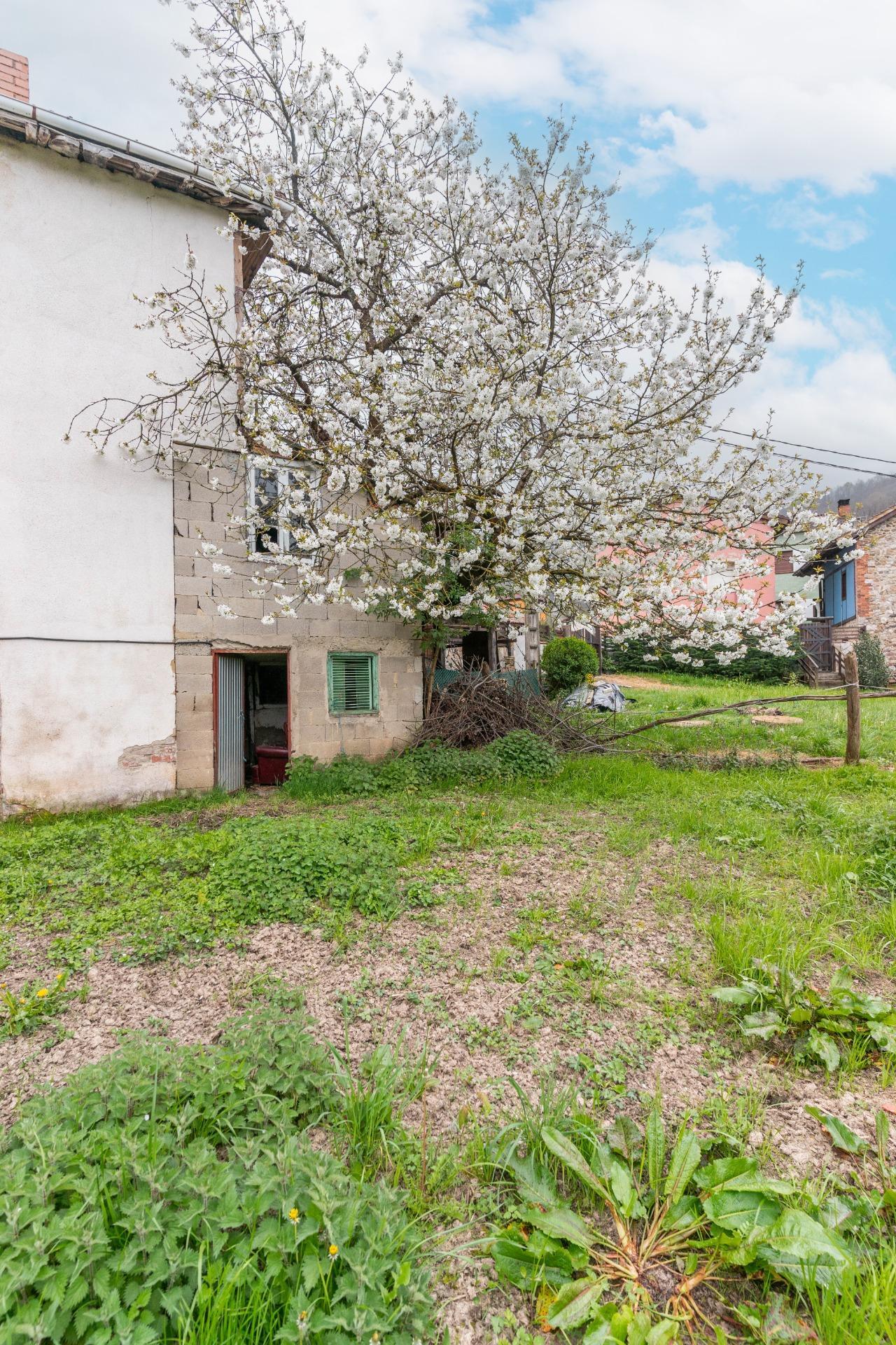 Casas o chalets-Venta-Laviana-2207128-Foto-48