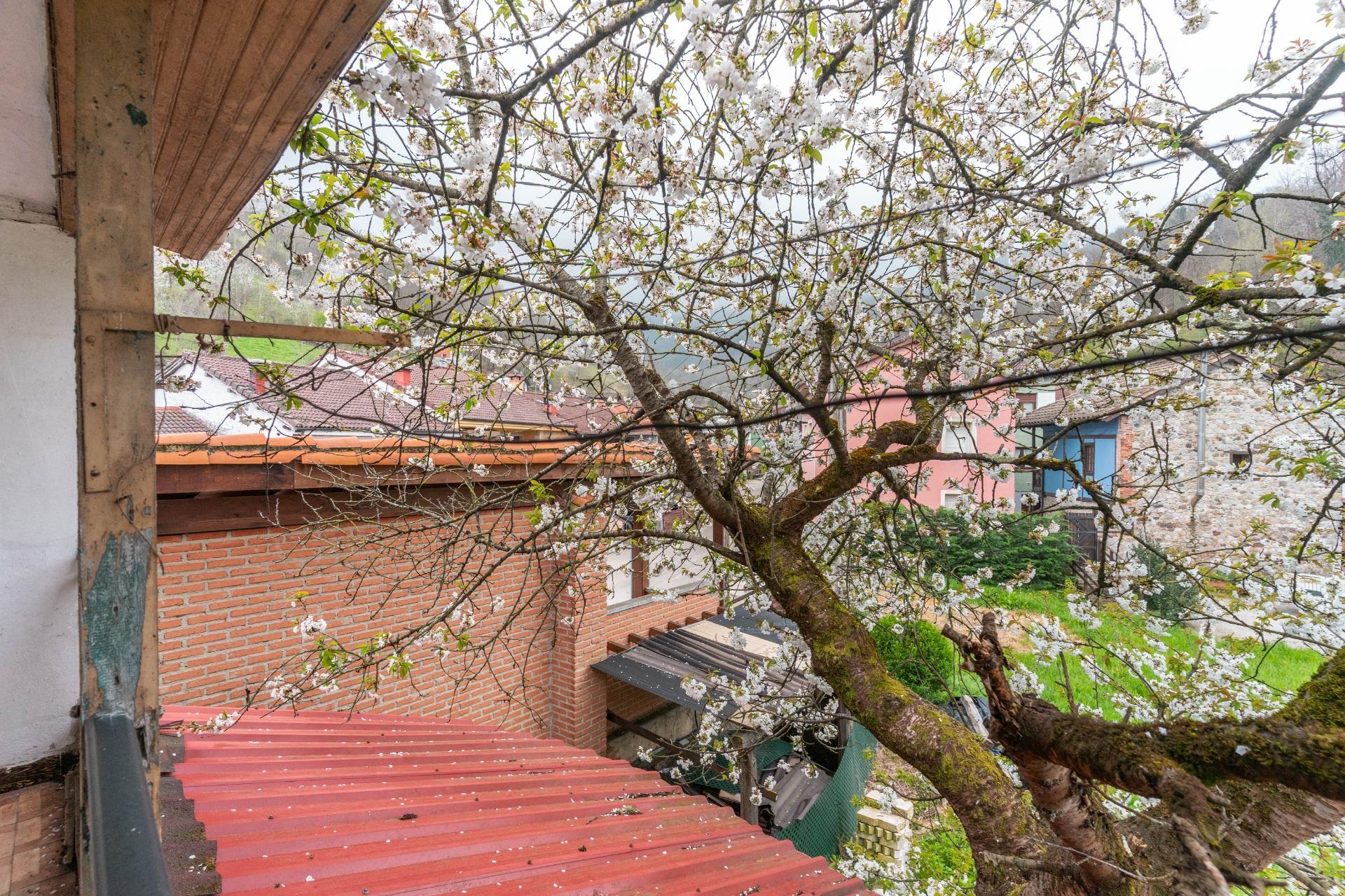 Casas o chalets-Venta-Laviana-2207128-Foto-53