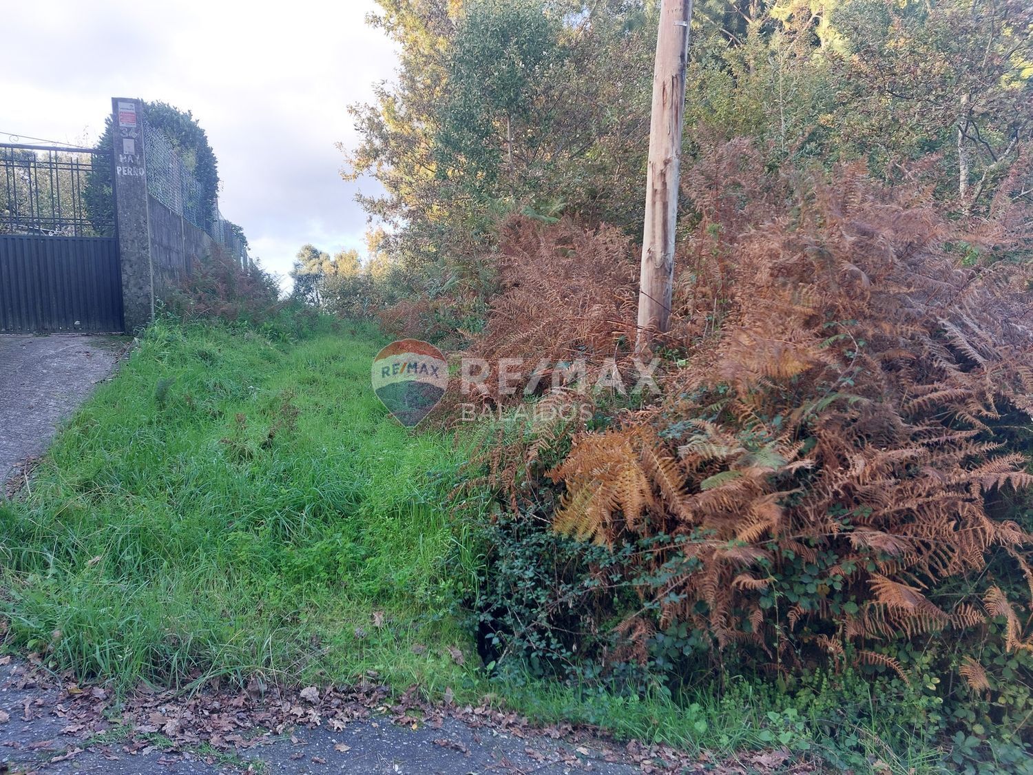 Fincas y solares-Venta-Vigo-2092376-Foto-2