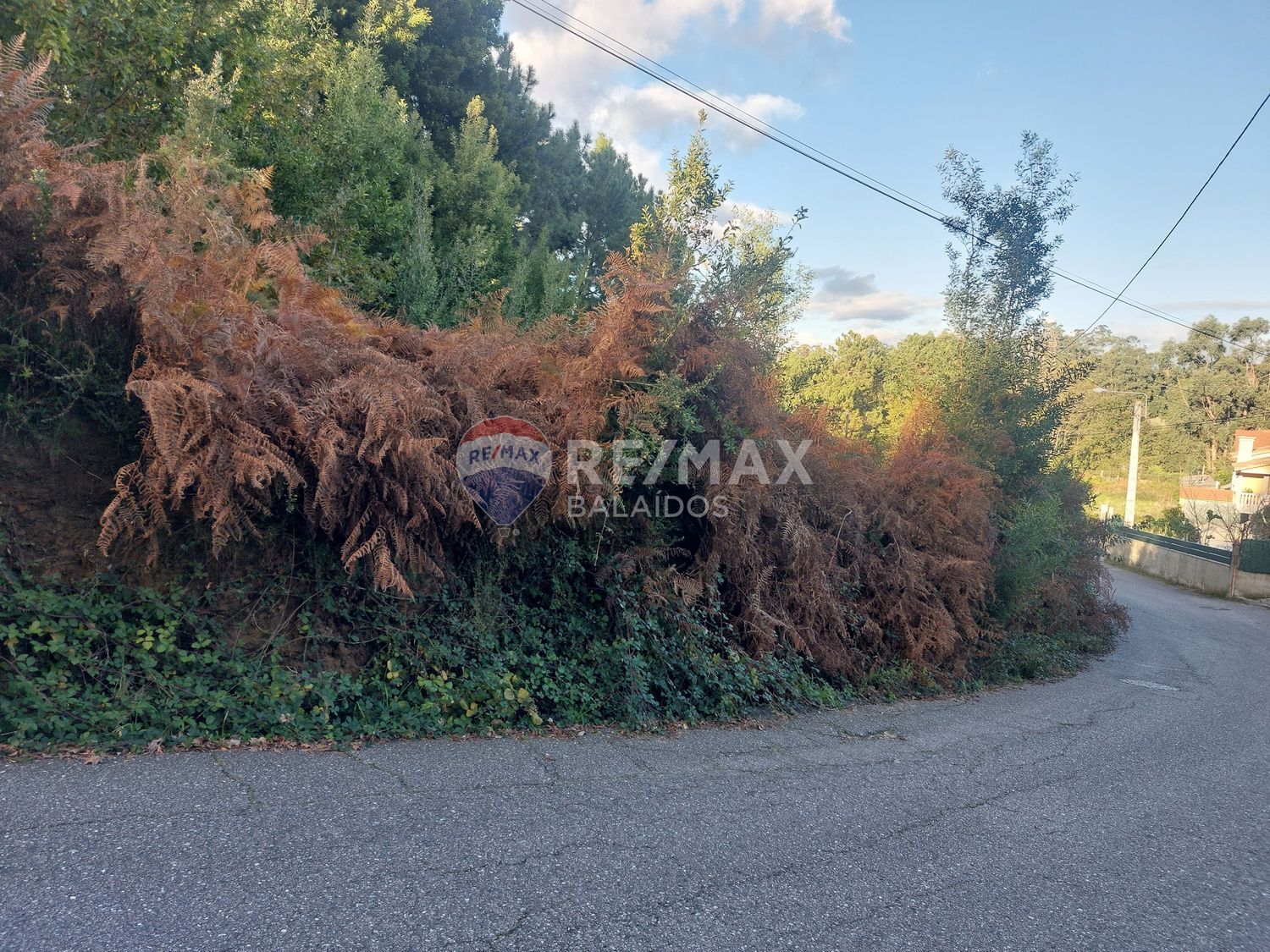 Fincas y solares-Venta-Vigo-2092376-Foto-4