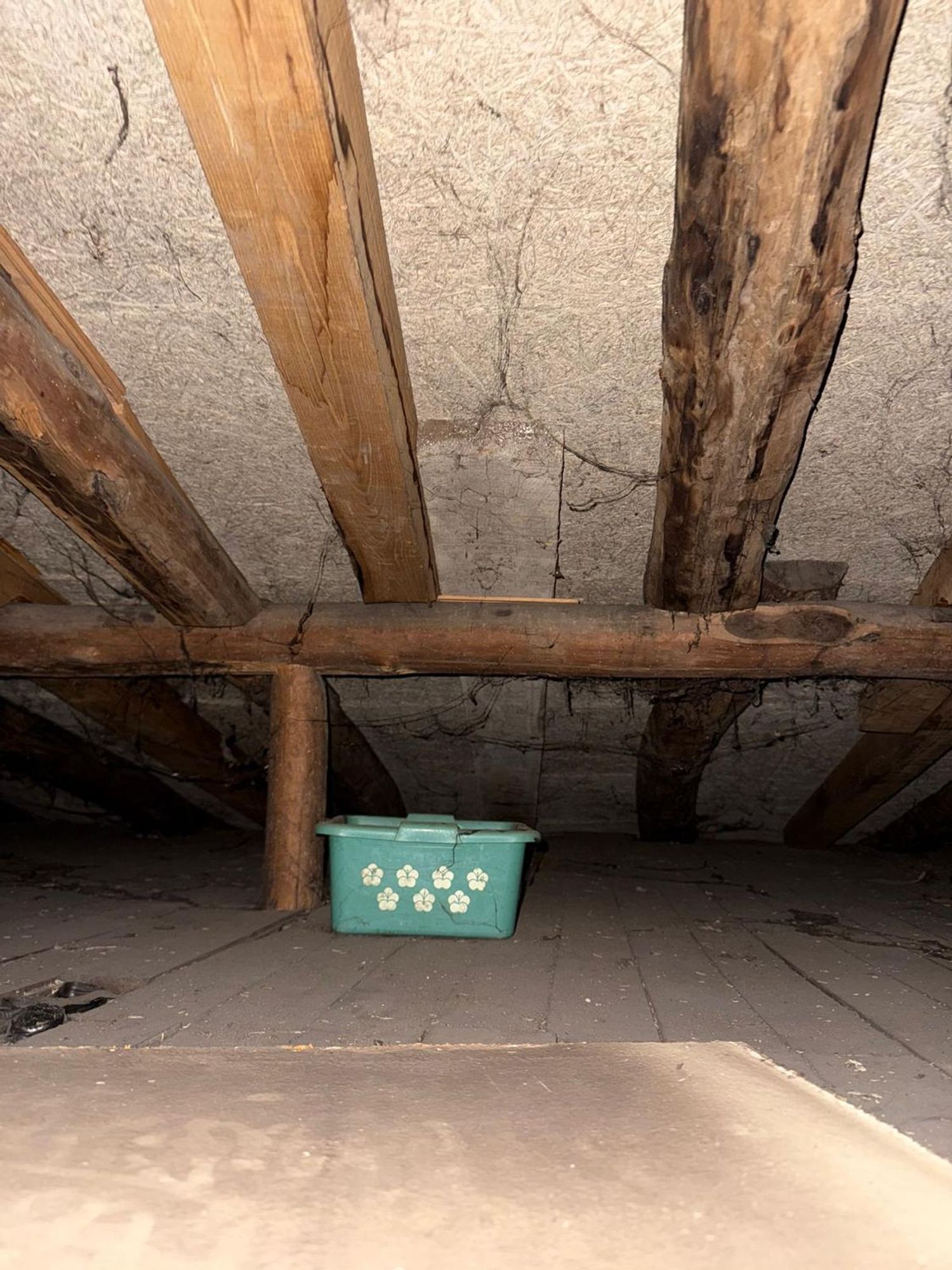 Casas o chalets-Venta-QuirÃ³s-2031363-Foto-25