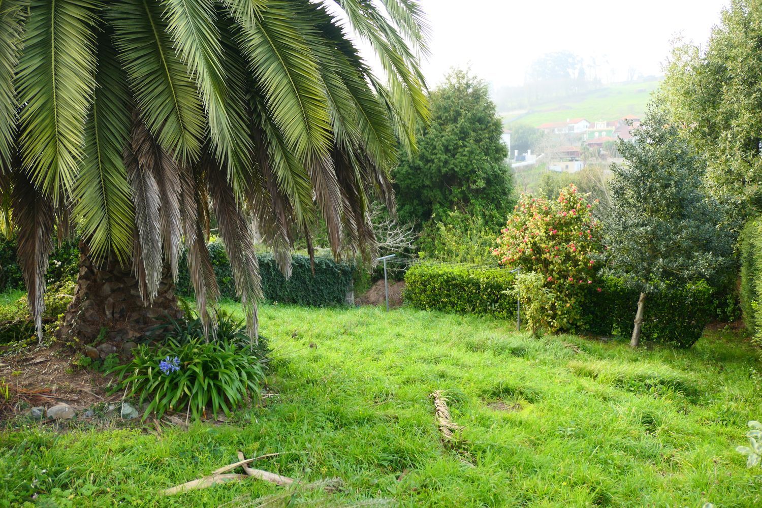 Casas o chalets-Venta-Muros de NalÃ³n-2207358-Foto-15